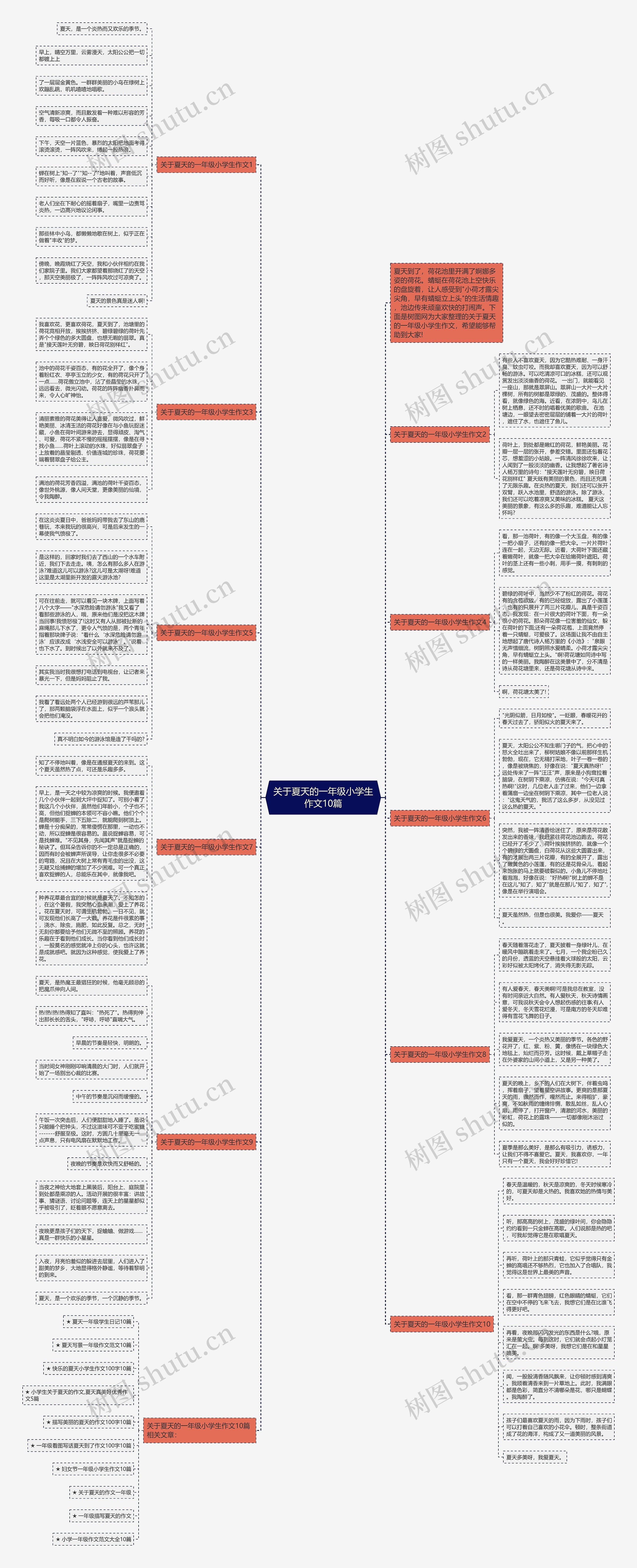 关于夏天的一年级小学生作文10篇思维导图