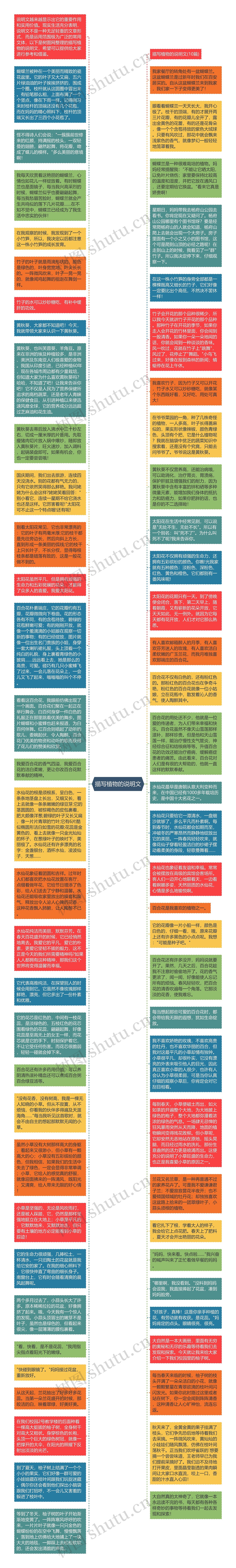 描写植物的说明文思维导图