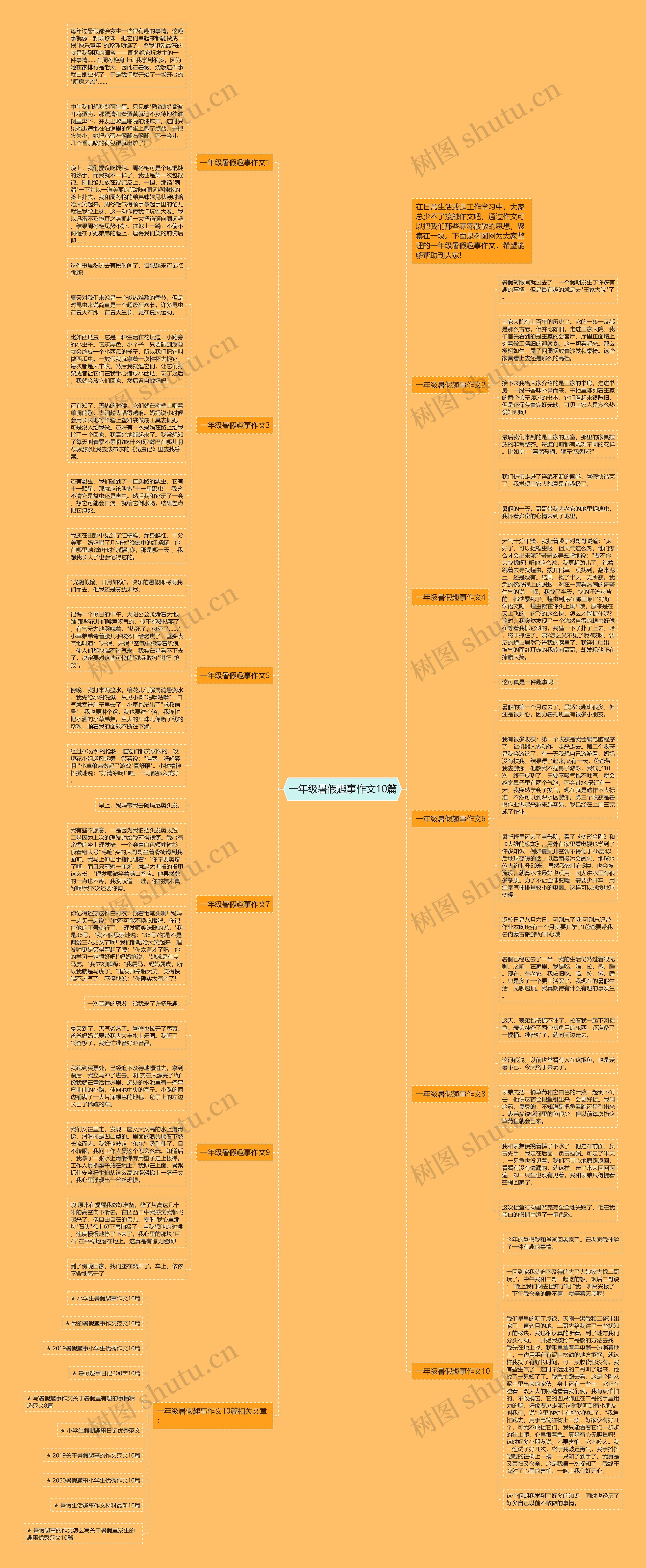 一年级暑假趣事作文10篇思维导图