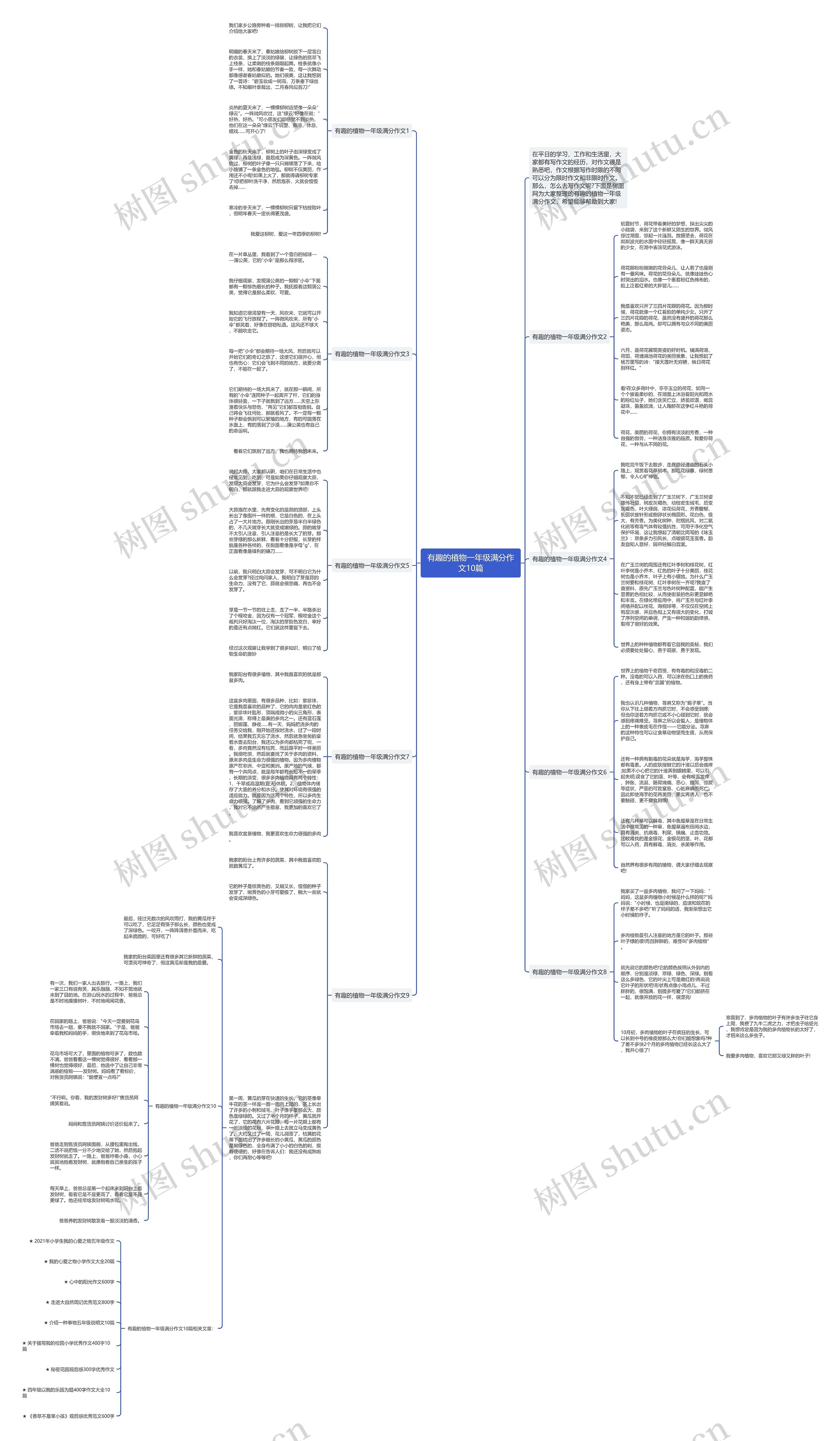 有趣的植物一年级满分作文10篇思维导图