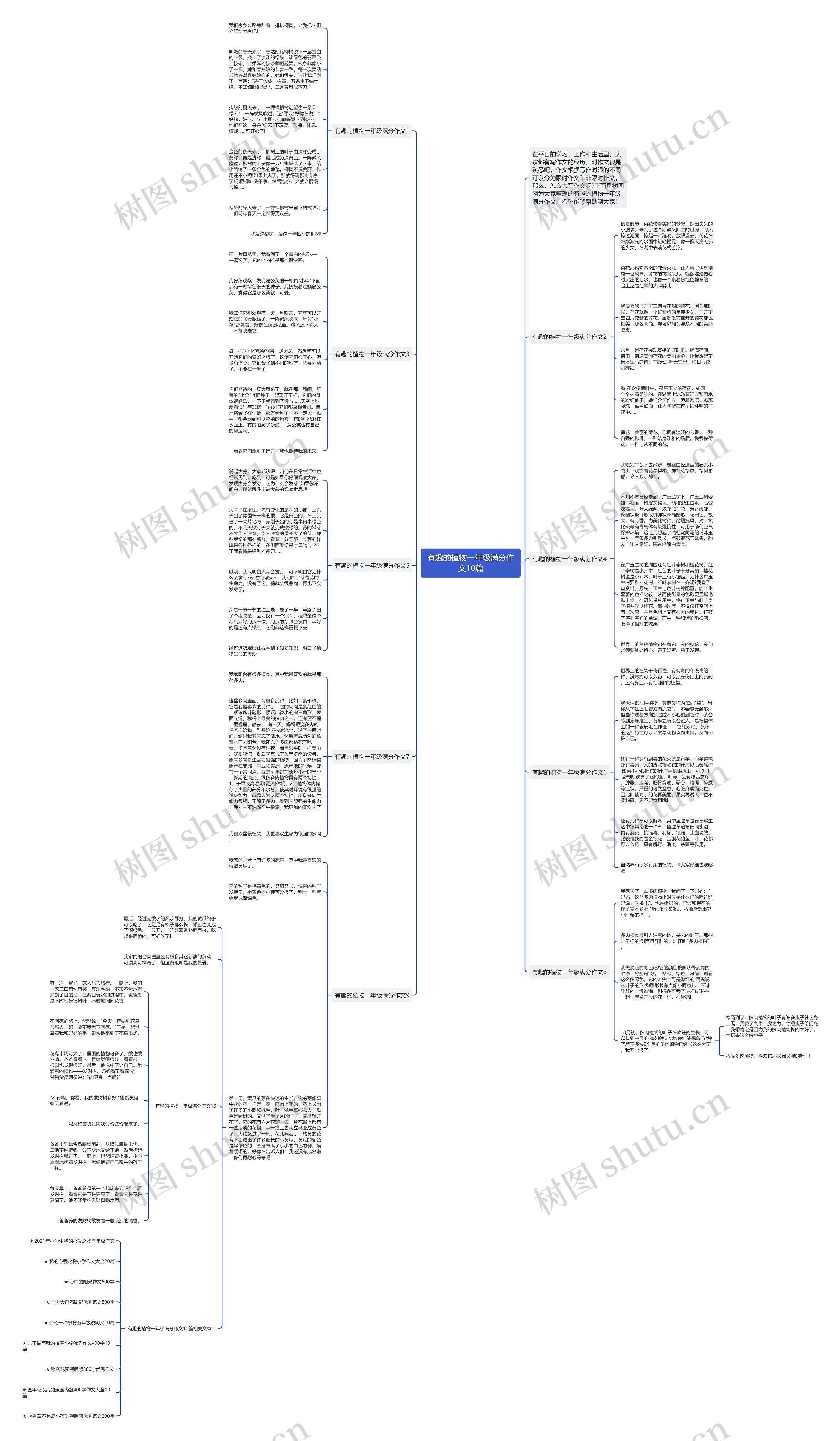 有趣的植物一年级满分作文10篇思维导图高清图 有趣的植物一年级满分作文10篇思维导图