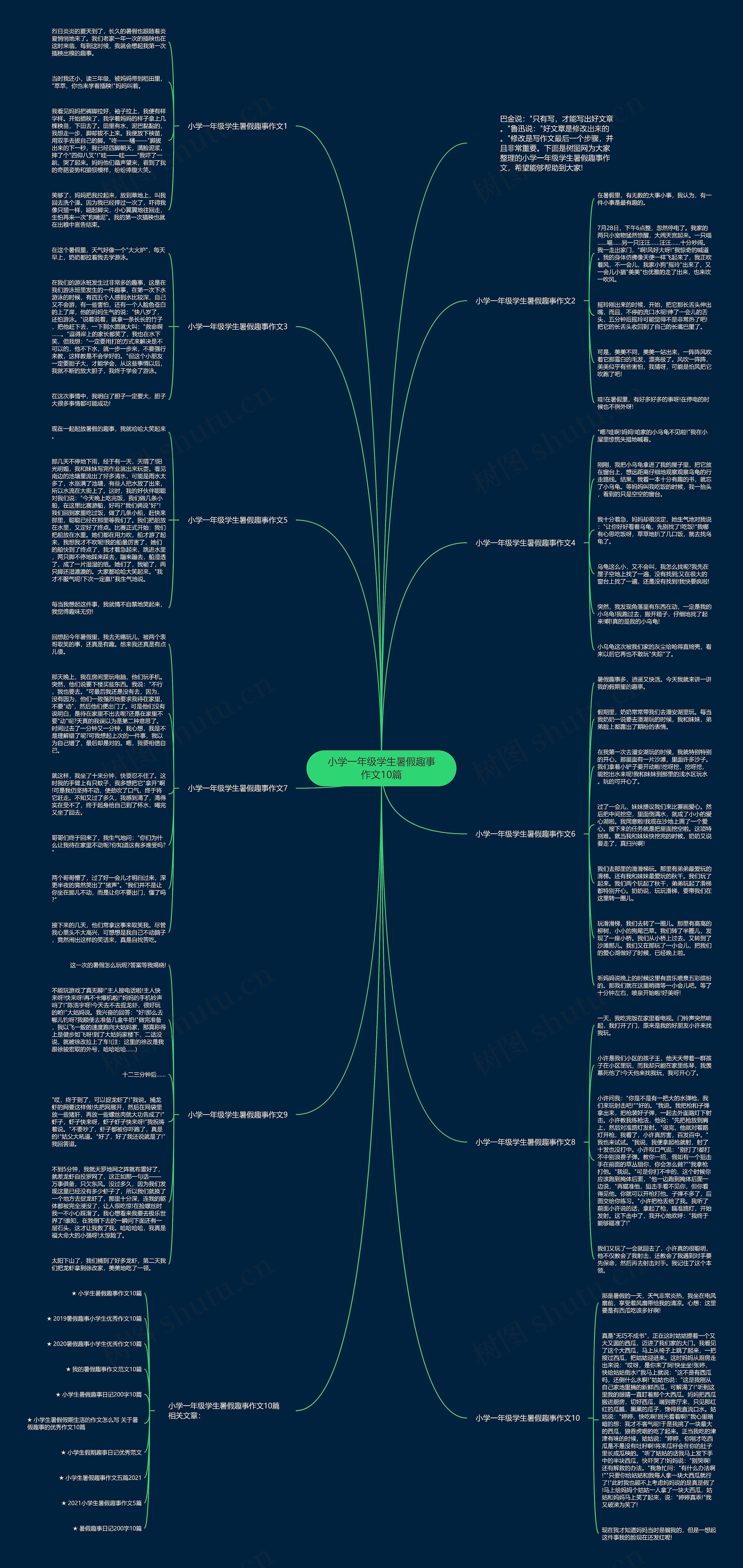 小学一年级学生暑假趣事作文10篇思维导图