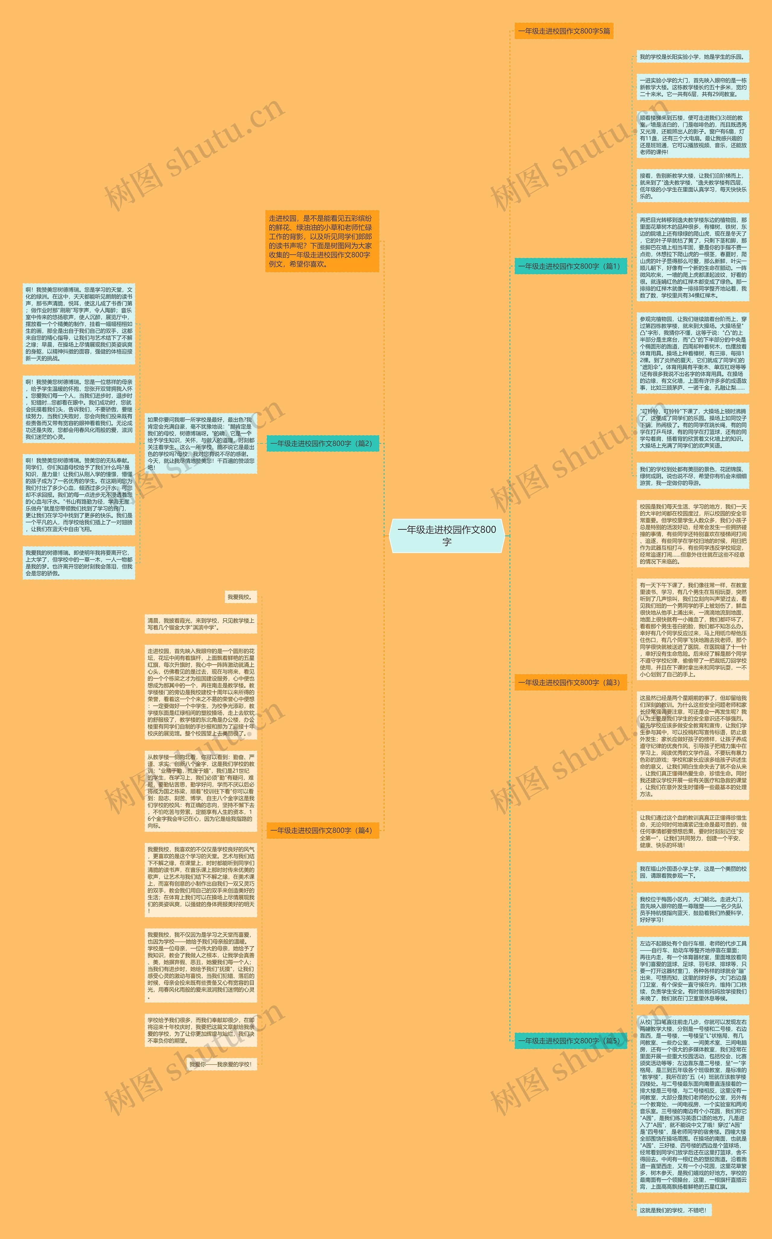 一年级走进校园作文800字思维导图