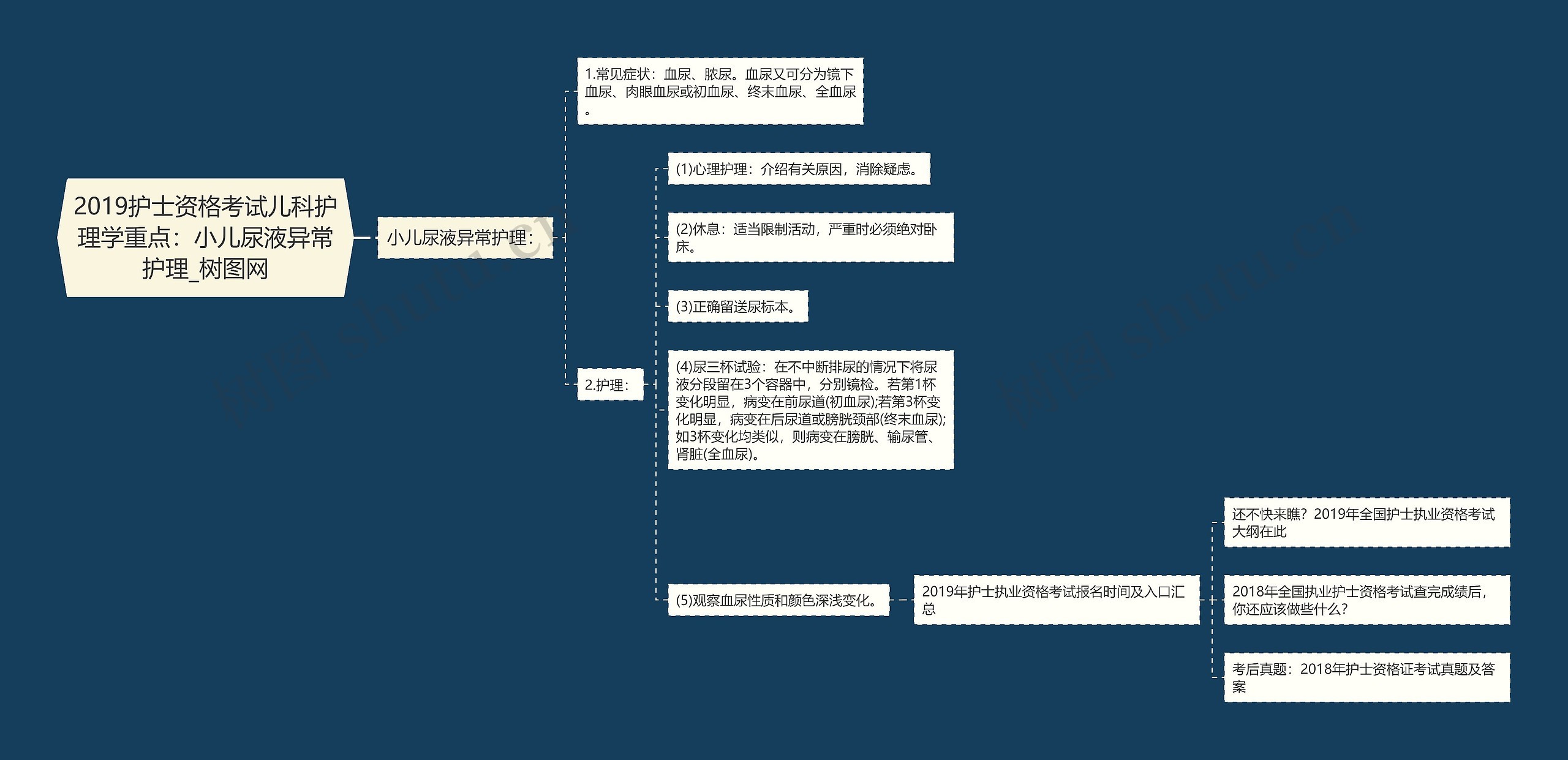 2019护士资格考试儿科护理学重点：小儿尿液异常护理思维导图