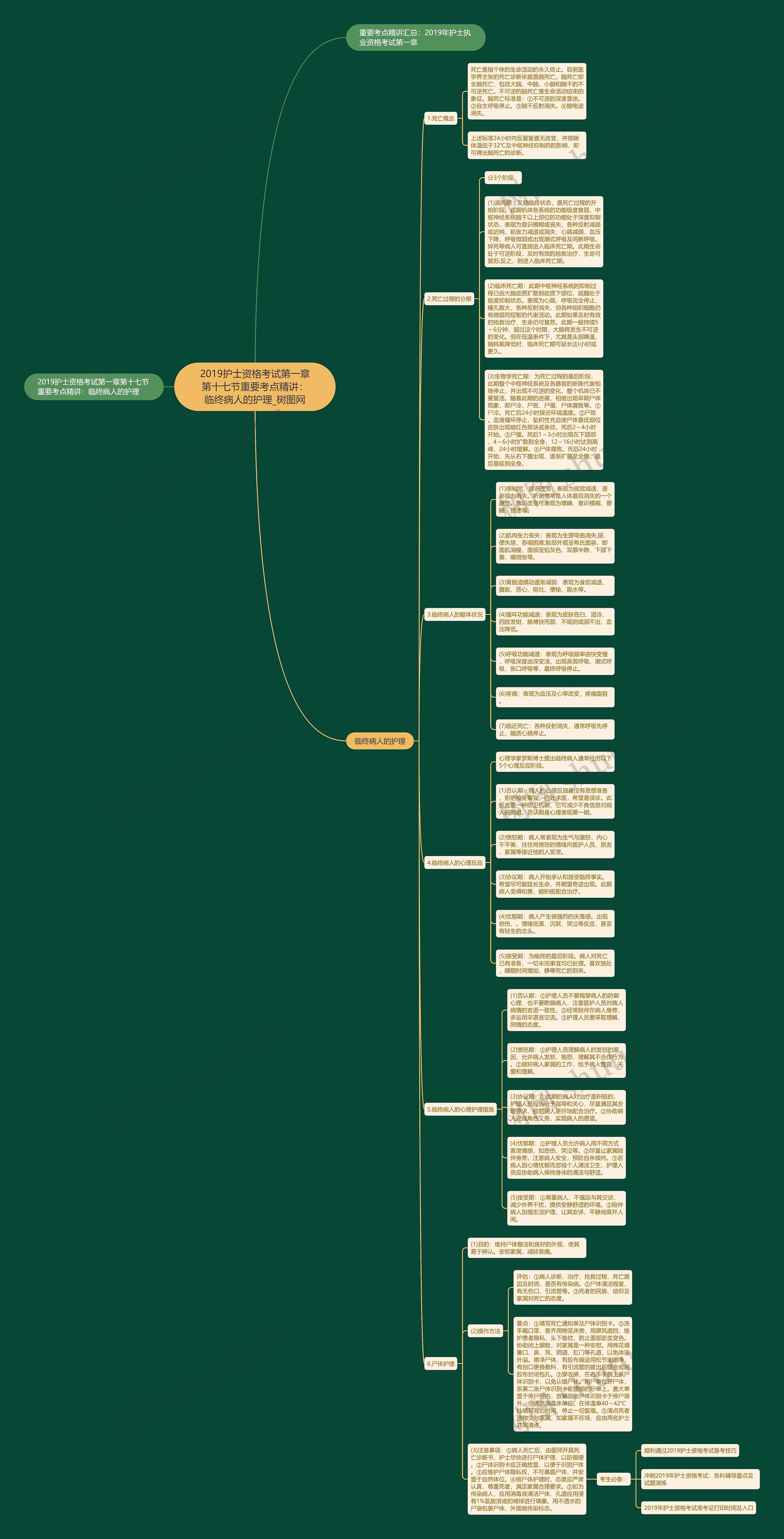 2019护士资格考试第一章第十七节重要考点精讲:临终病人的护理 2019护士资格考试第一章第十七节重要考点精讲:临终病人的护理