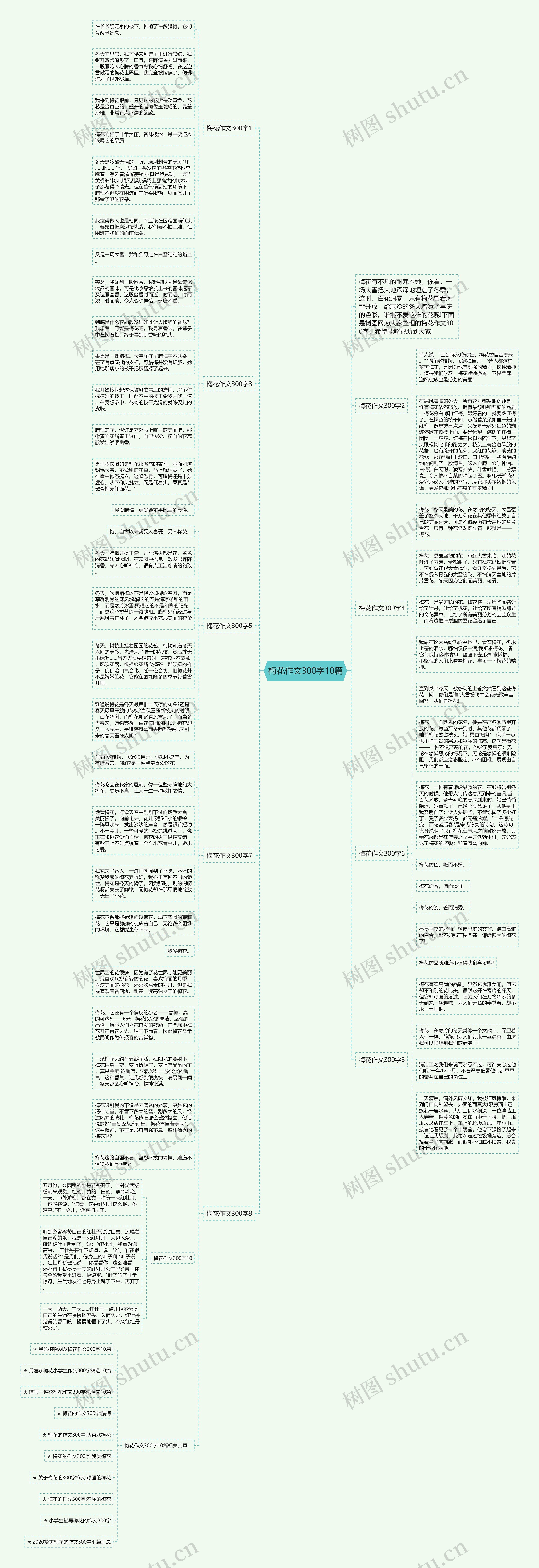 梅花作文300字10篇