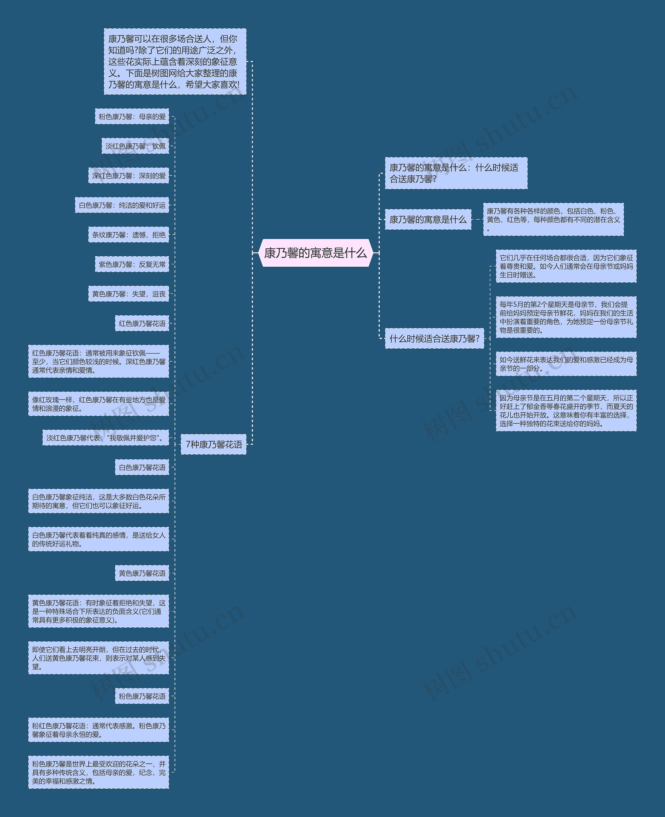 康乃馨的寓意是什么思维导图