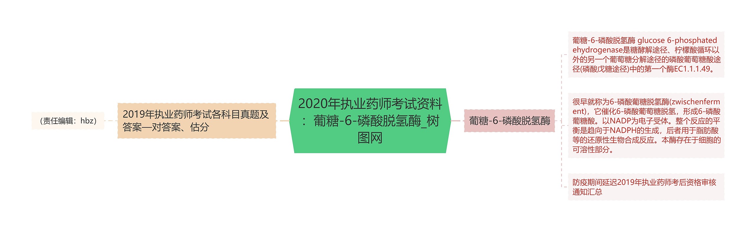 2020年执业药师考试资料：葡糖-6-磷酸脱氢酶