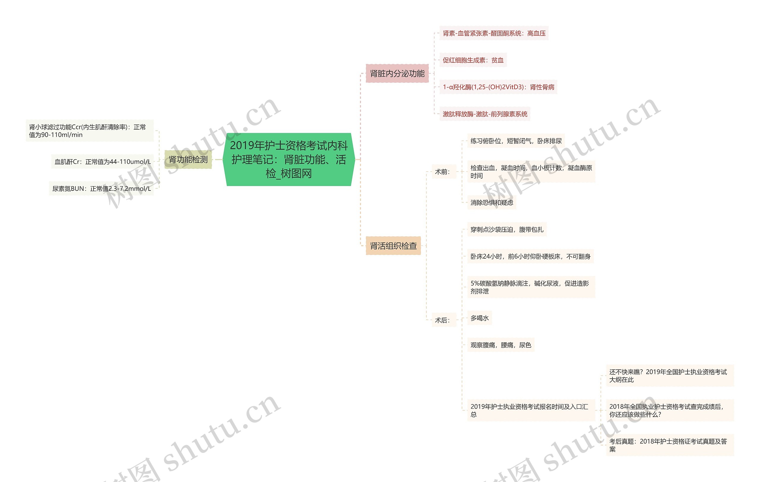 2019年护士资格考试内科护理笔记:肾脏功能、活检 2019年护士资格考试内科护理笔记:肾脏功能、活检