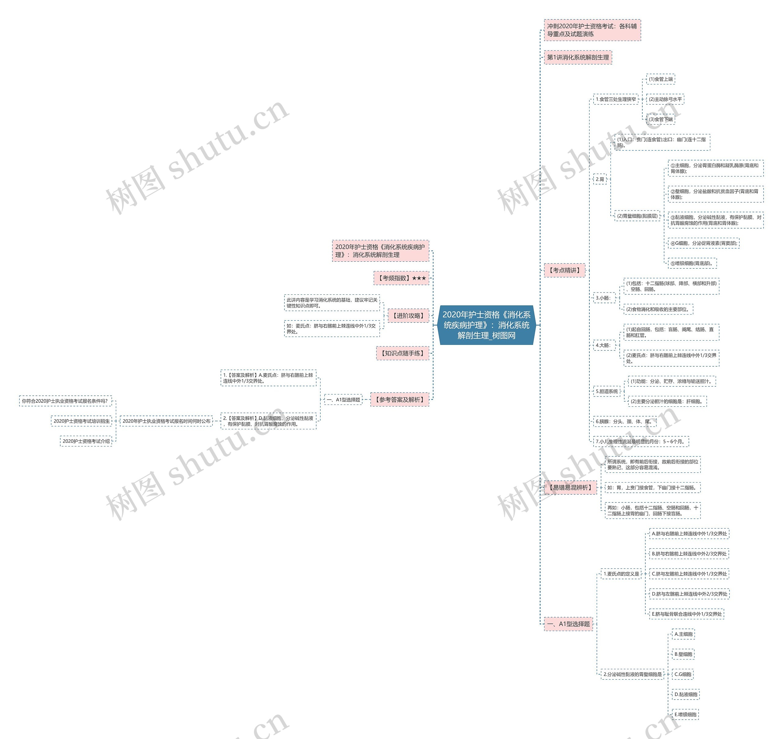 2020年护士资格《消化系统疾病护理》：消化系统解剖生理思维导图