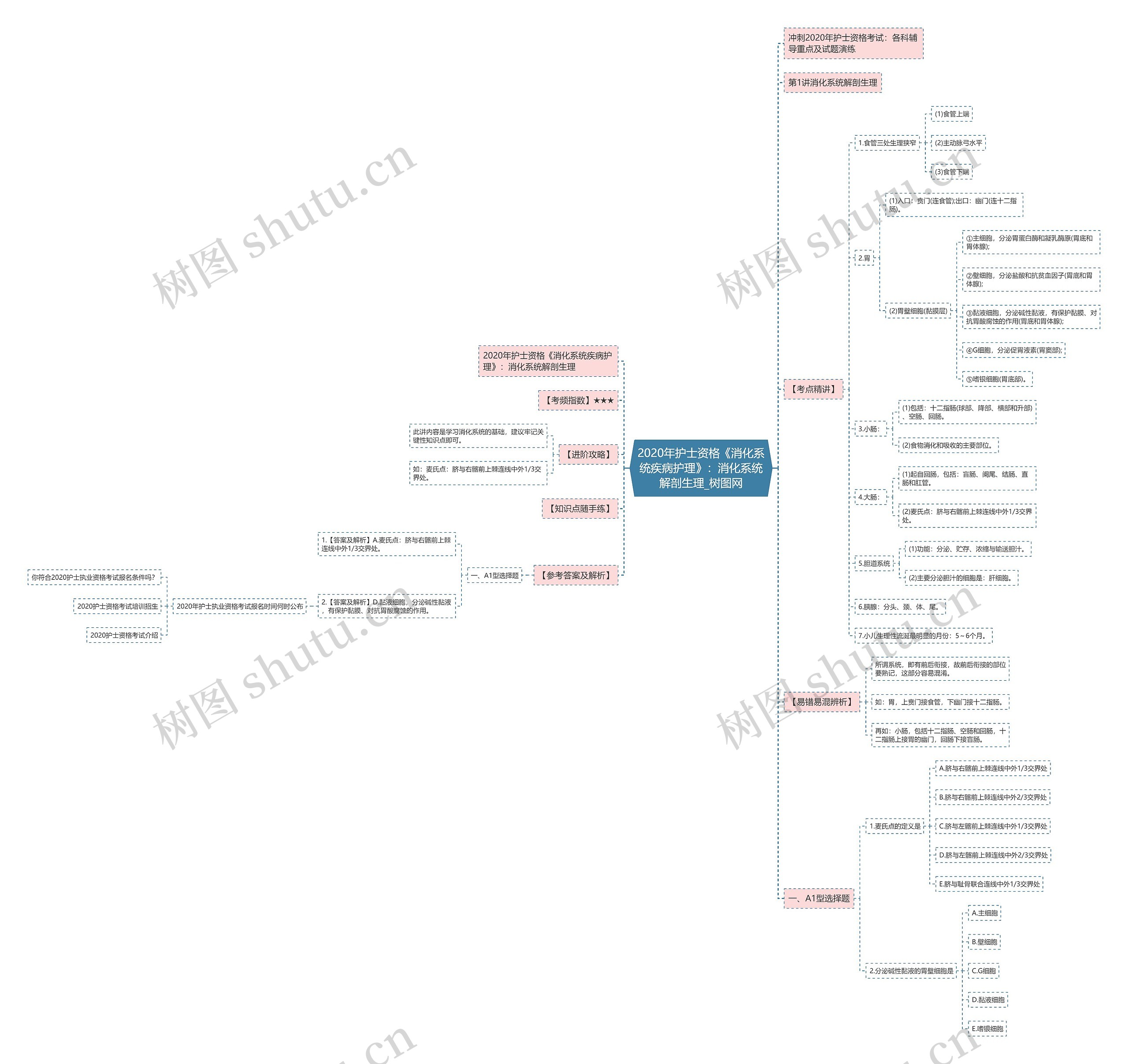 2020年护士资格《消化系统疾病护理》:消化系统解剖生理 2020年护士资格《消化系统疾病护理》:消化系统解剖生理