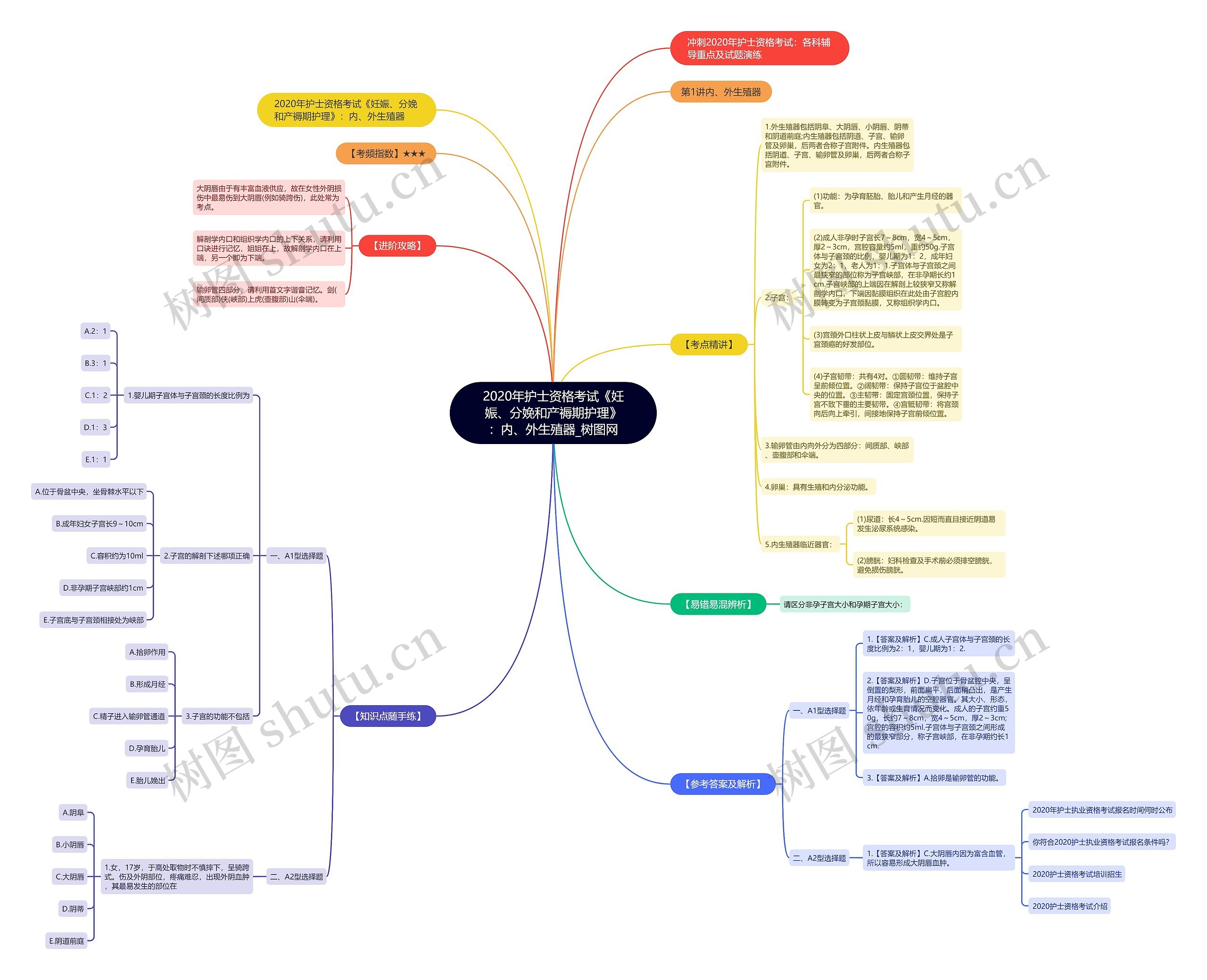 2020年护士资格考试《妊娠、分娩和产褥期护理》：内、外生殖器思维导图