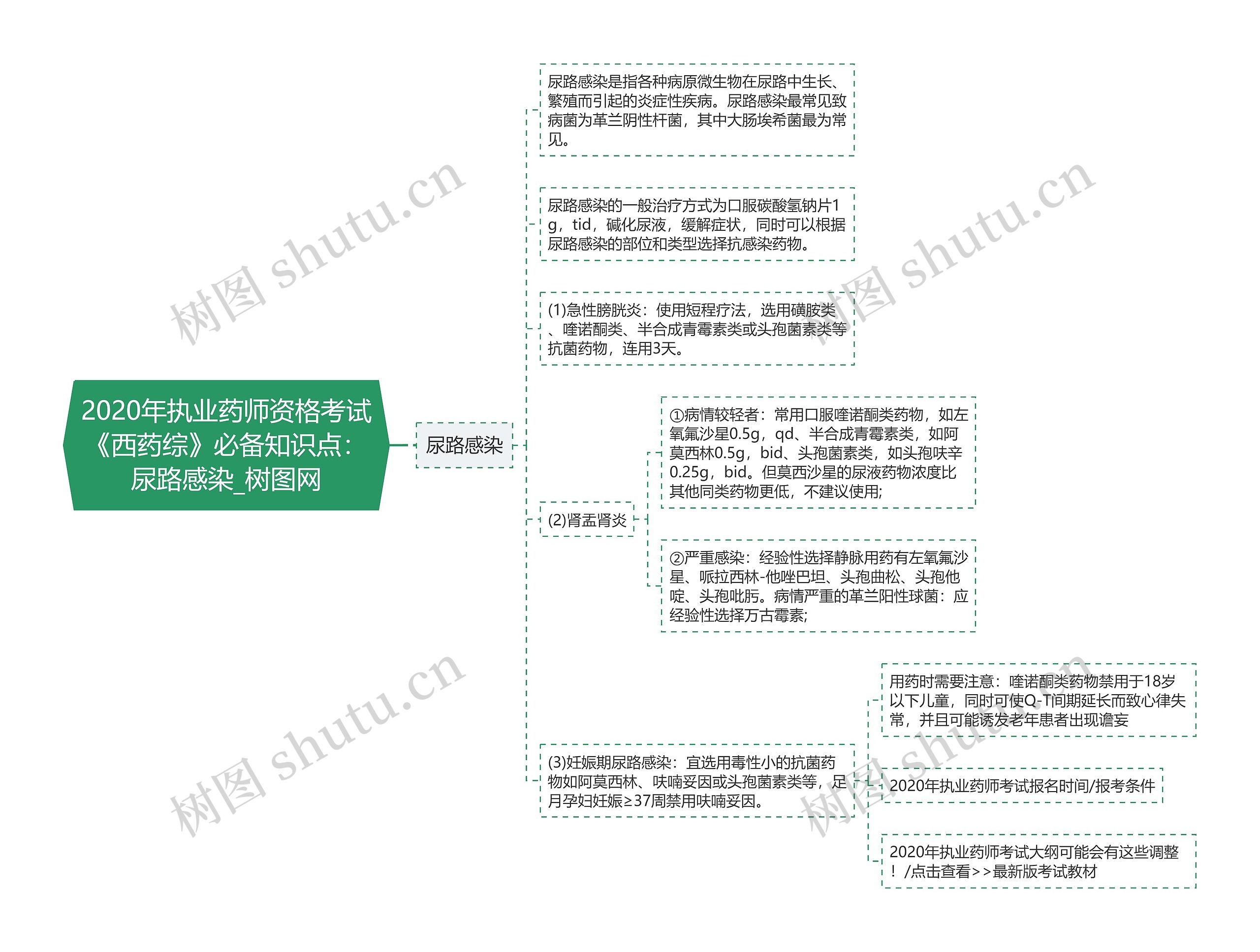 2020年执业药师资格考试《西药综》必备知识点：尿路感染