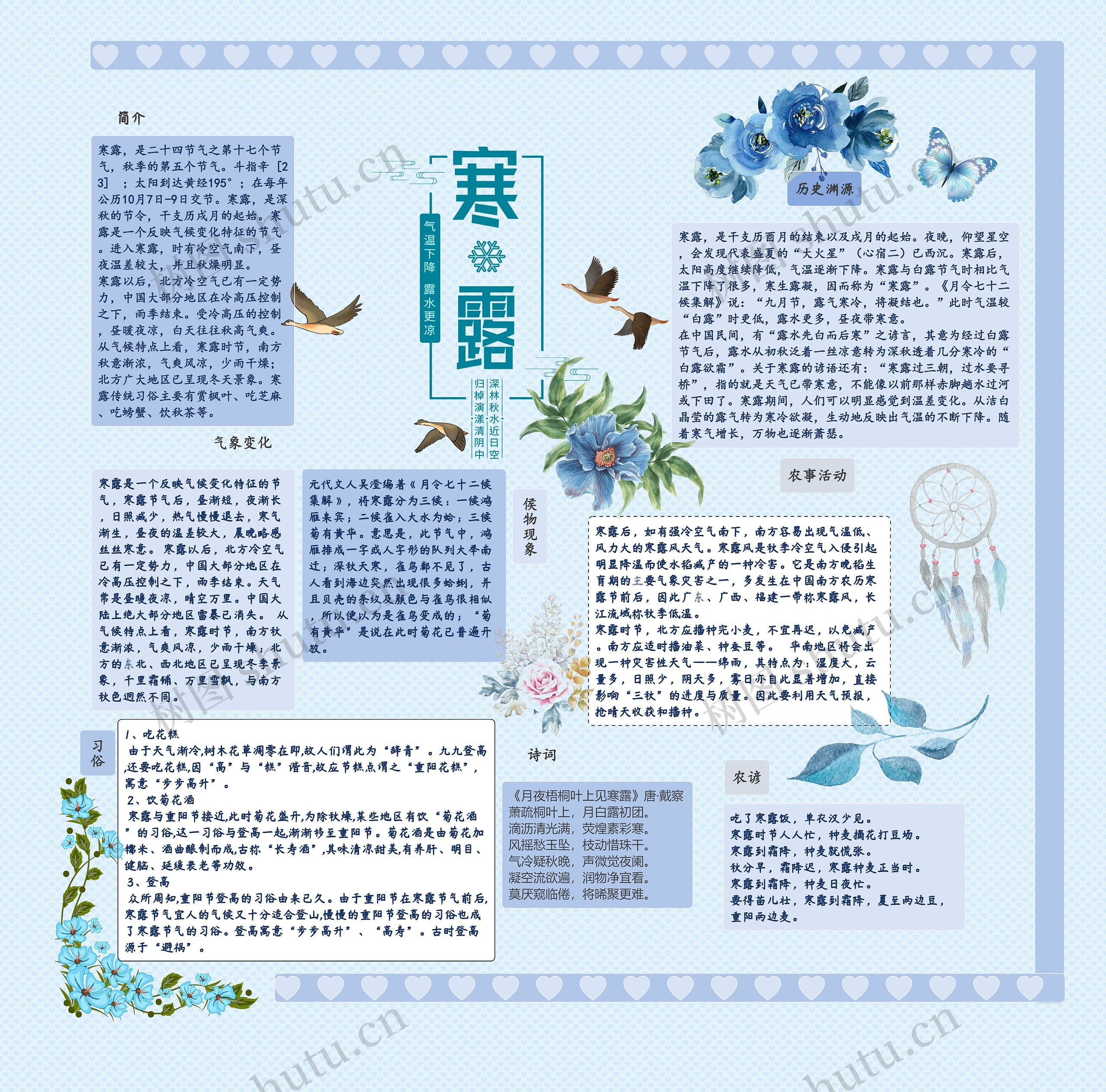 寒露手抄报