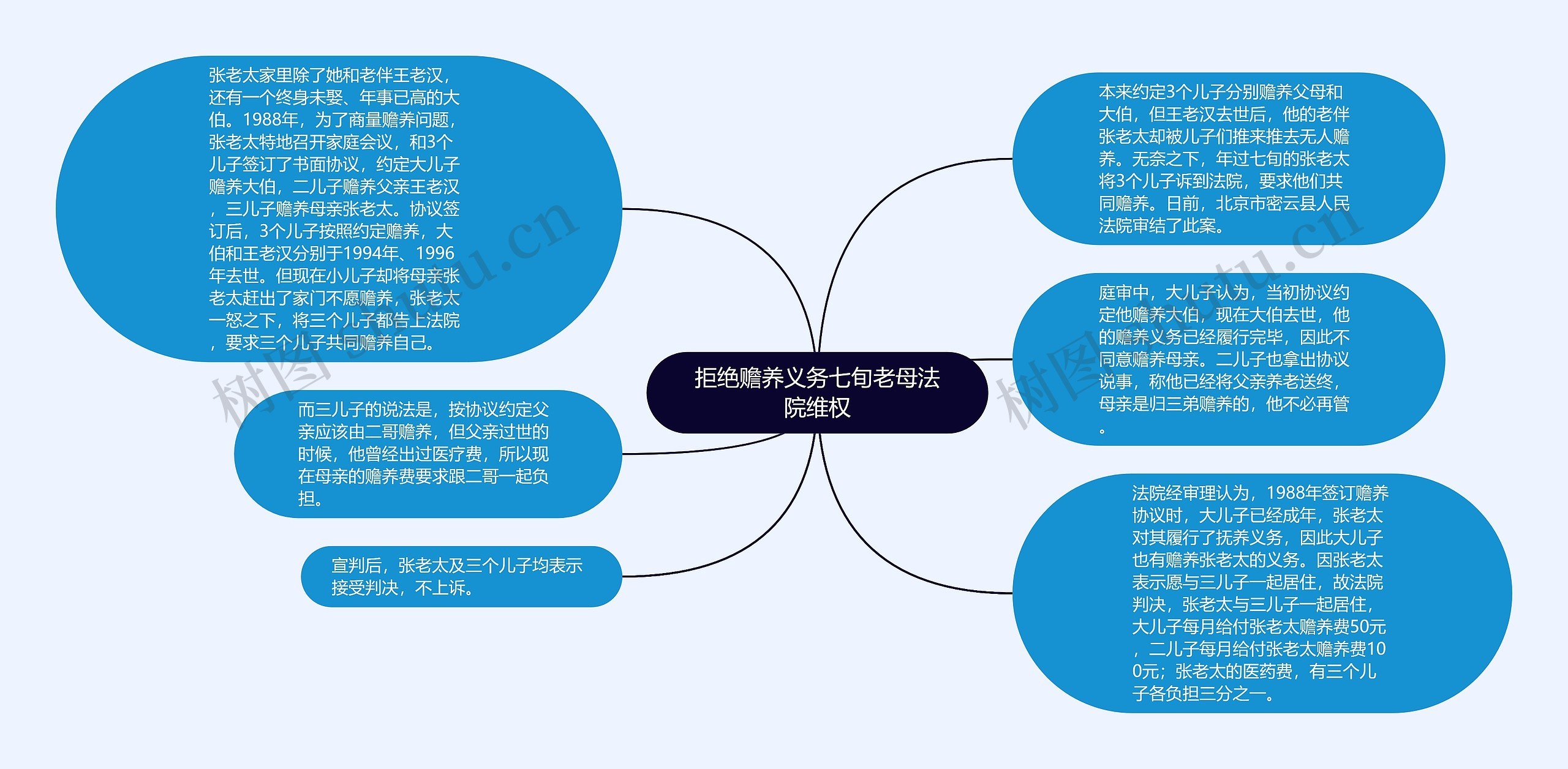 拒绝赡养义务七旬老母法院维权思维导图