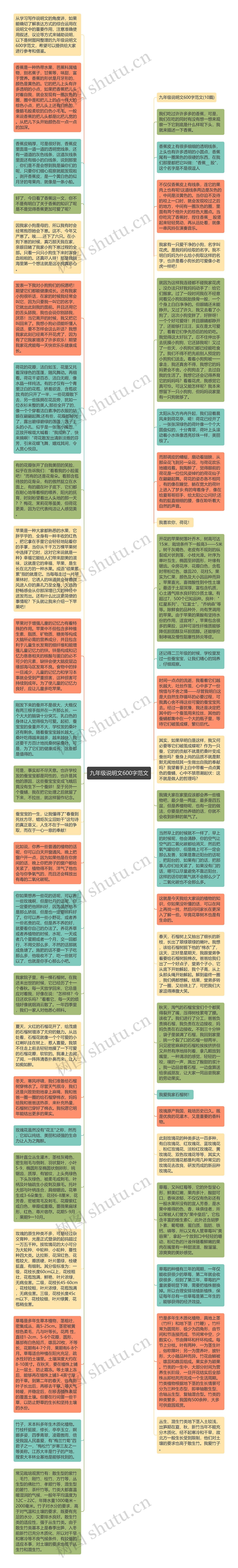 九年级说明文600字范文