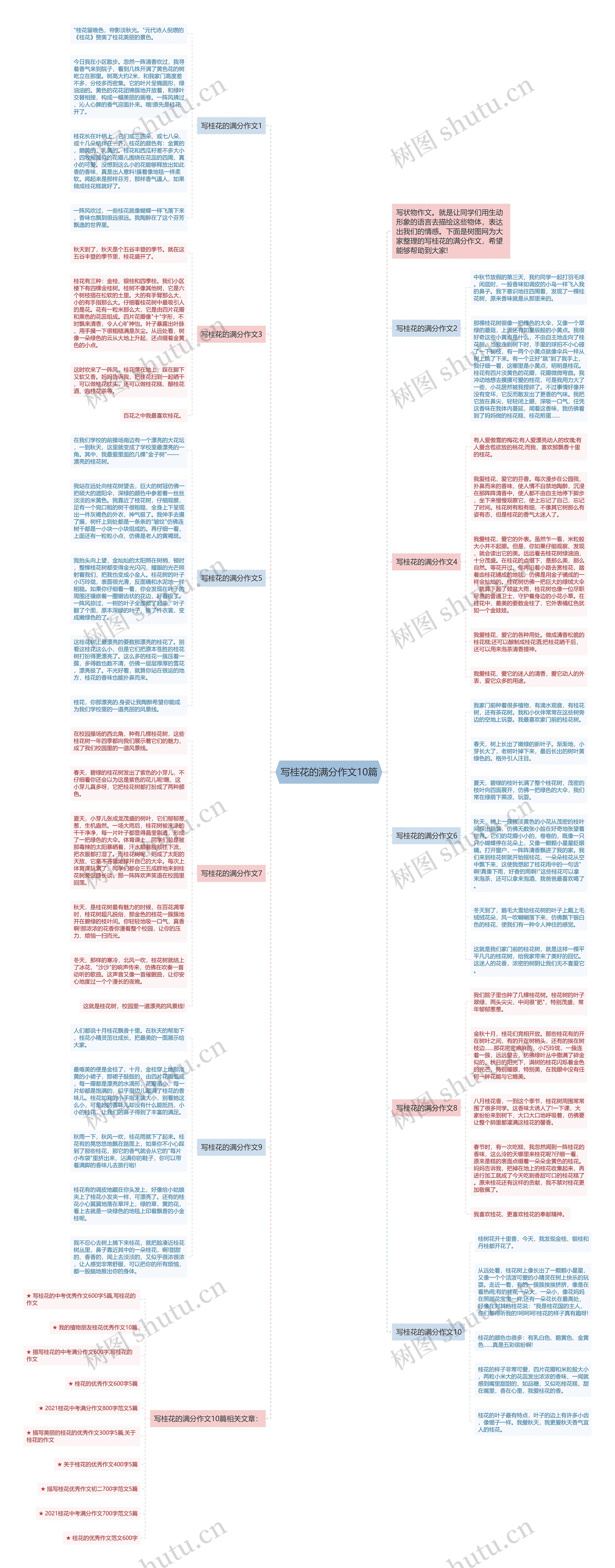 写桂花的满分作文10篇思维导图