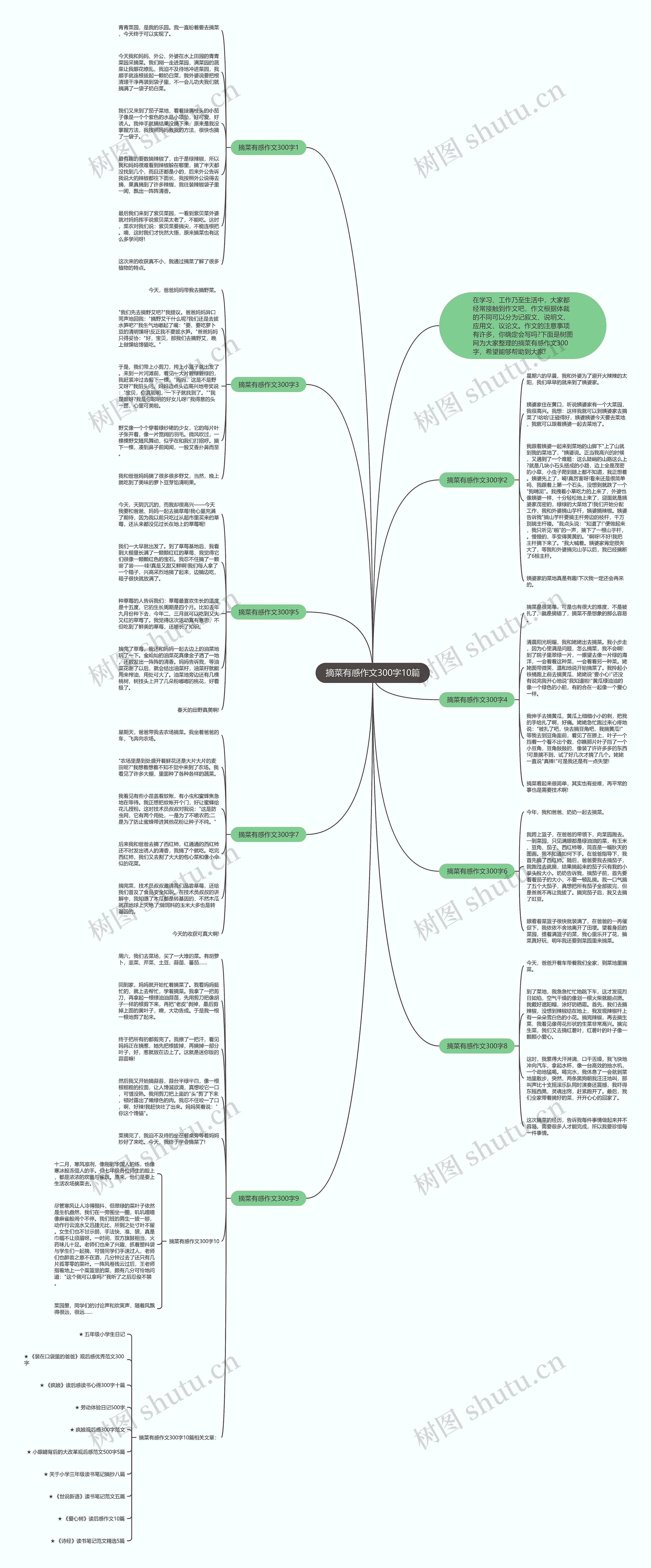 摘菜有感作文300字10篇思维导图