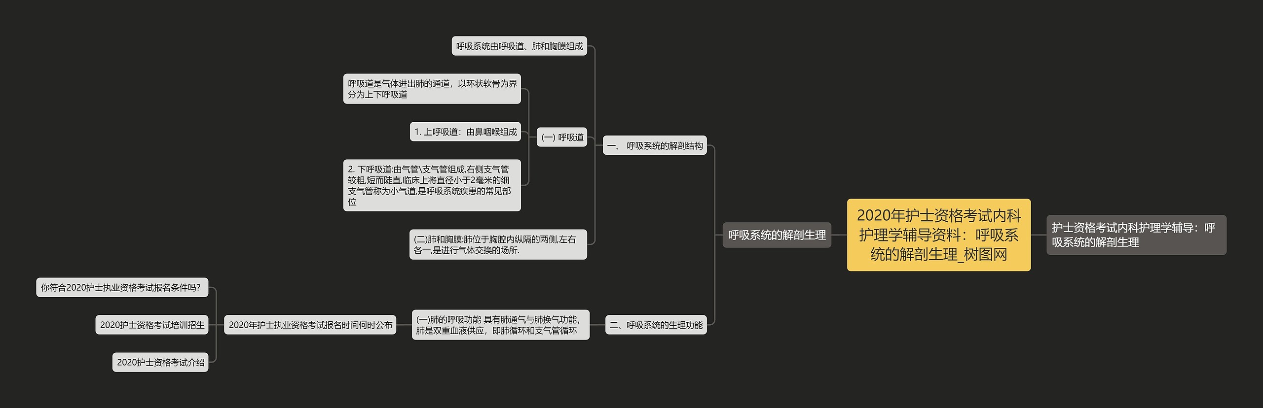 2020年护士资格考试内科护理学辅导资料：呼吸系统的解剖生理