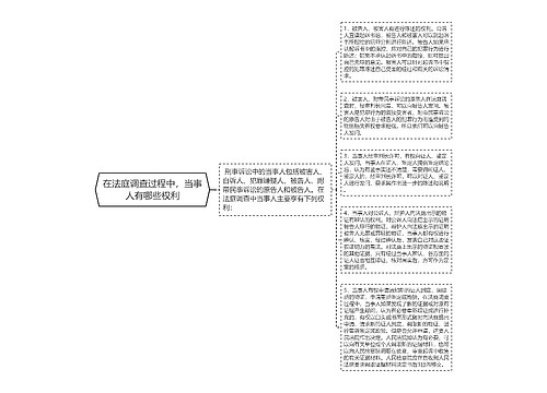 在法庭调查过程中，当事人有哪些权利