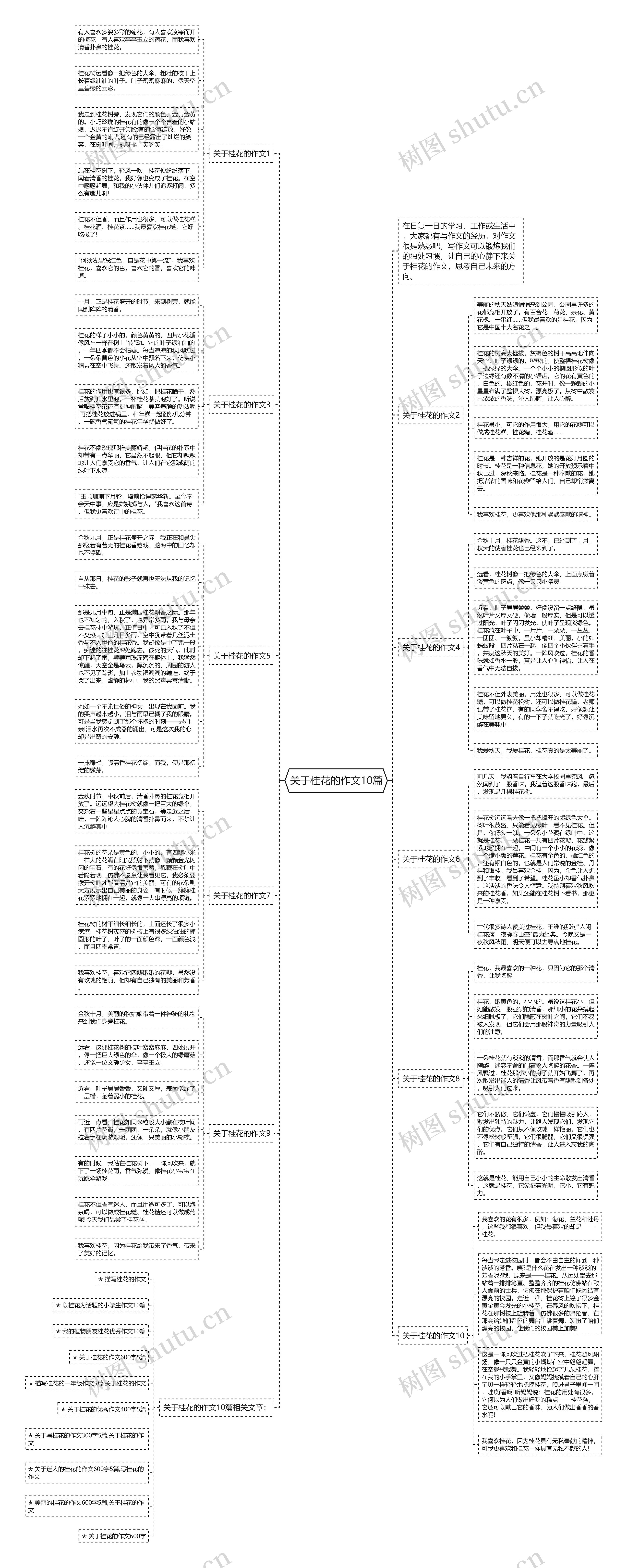 关于桂花的作文10篇思维导图