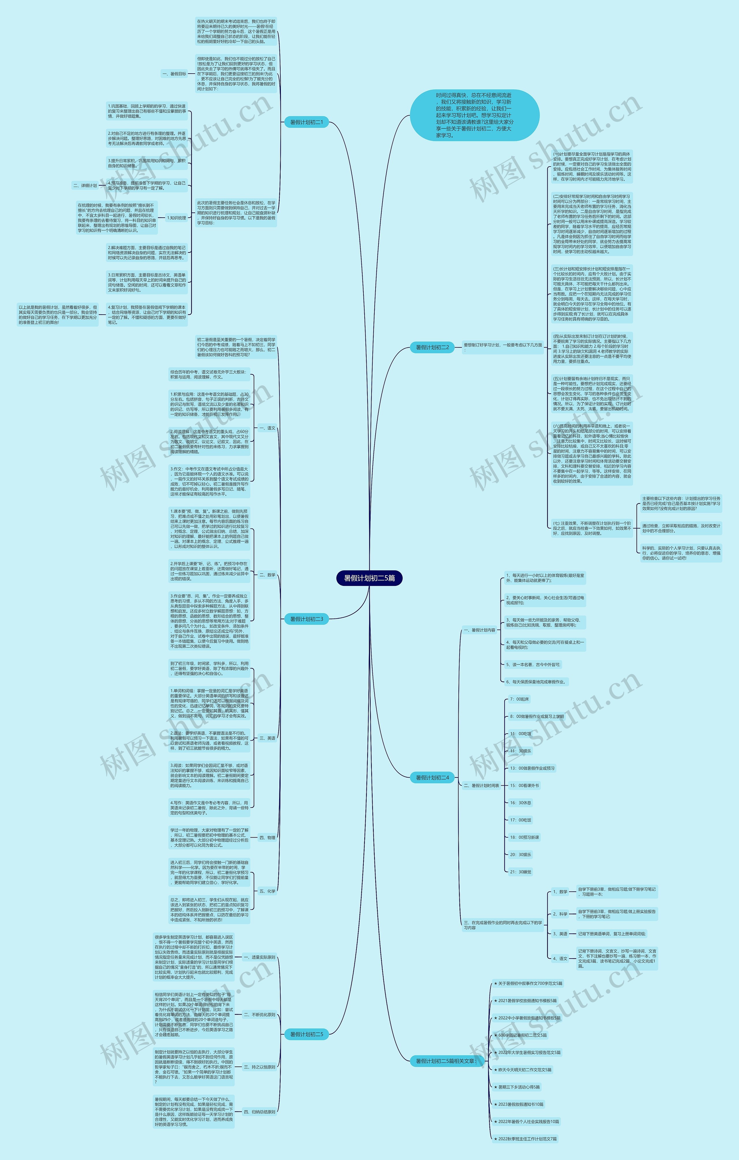 暑假计划初二5篇思维导图