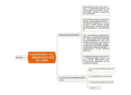 执业药师西药知识一讲义：植物的组织类型之输导组织