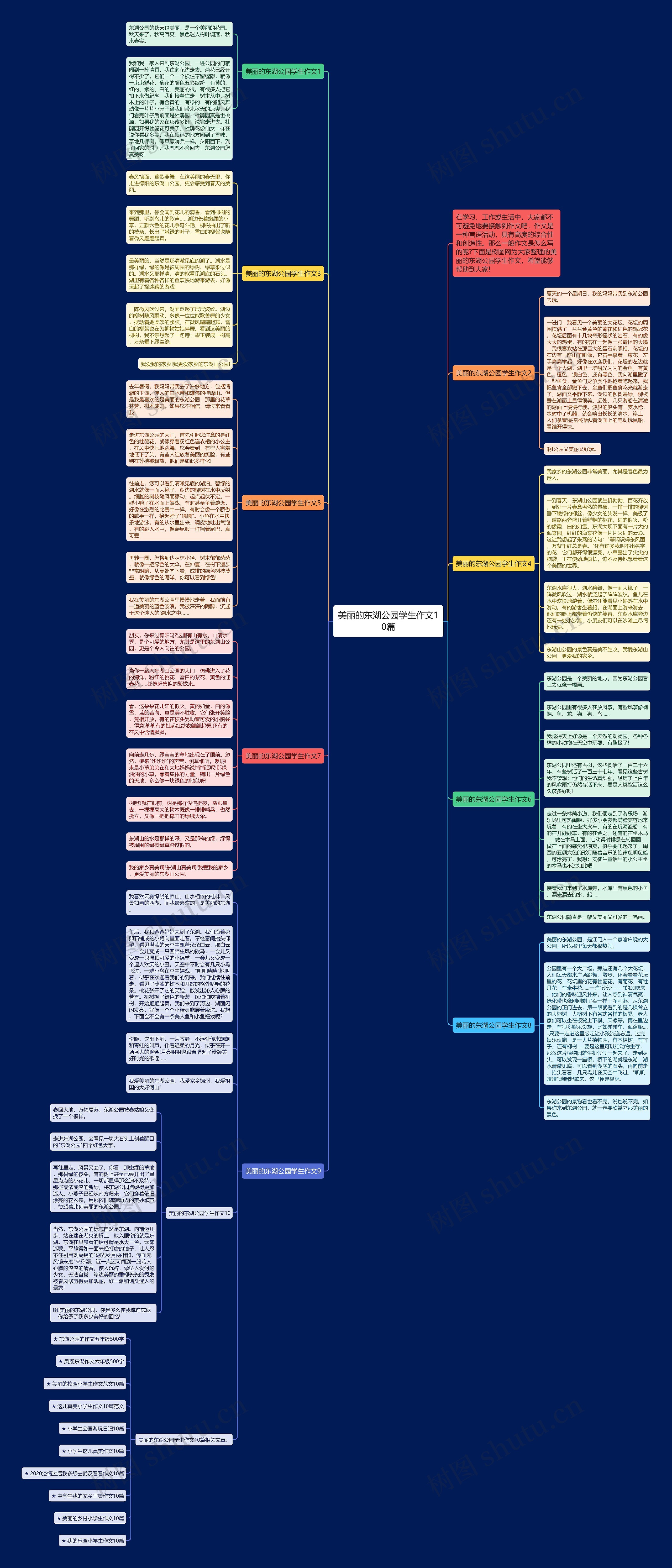美丽的东湖公园学生作文10篇思维导图