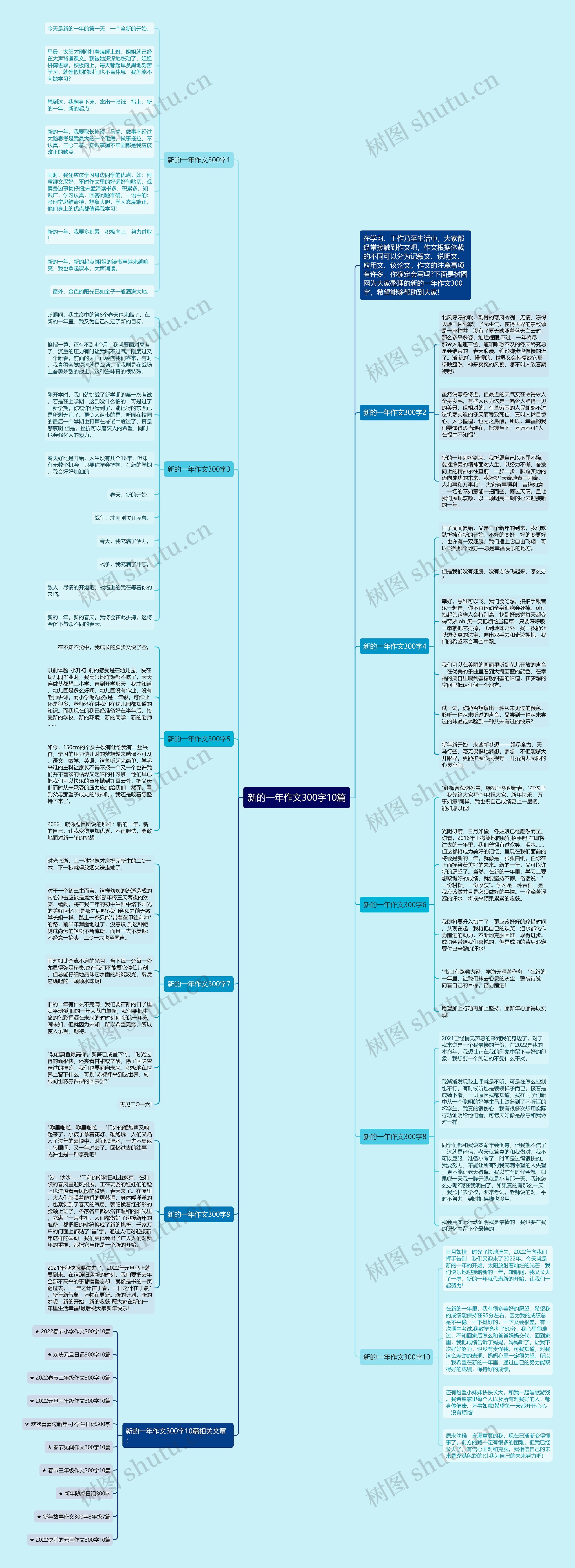 新的一年作文300字10篇思维导图