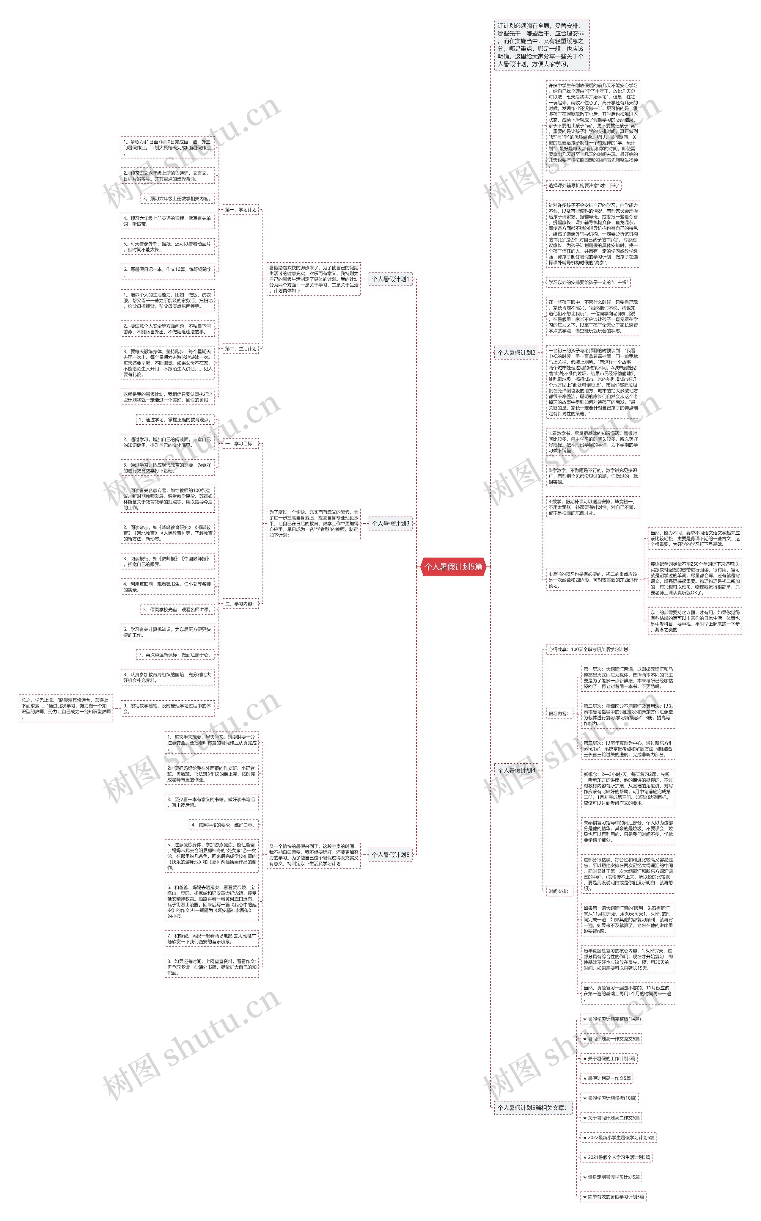 个人暑假计划5篇思维导图