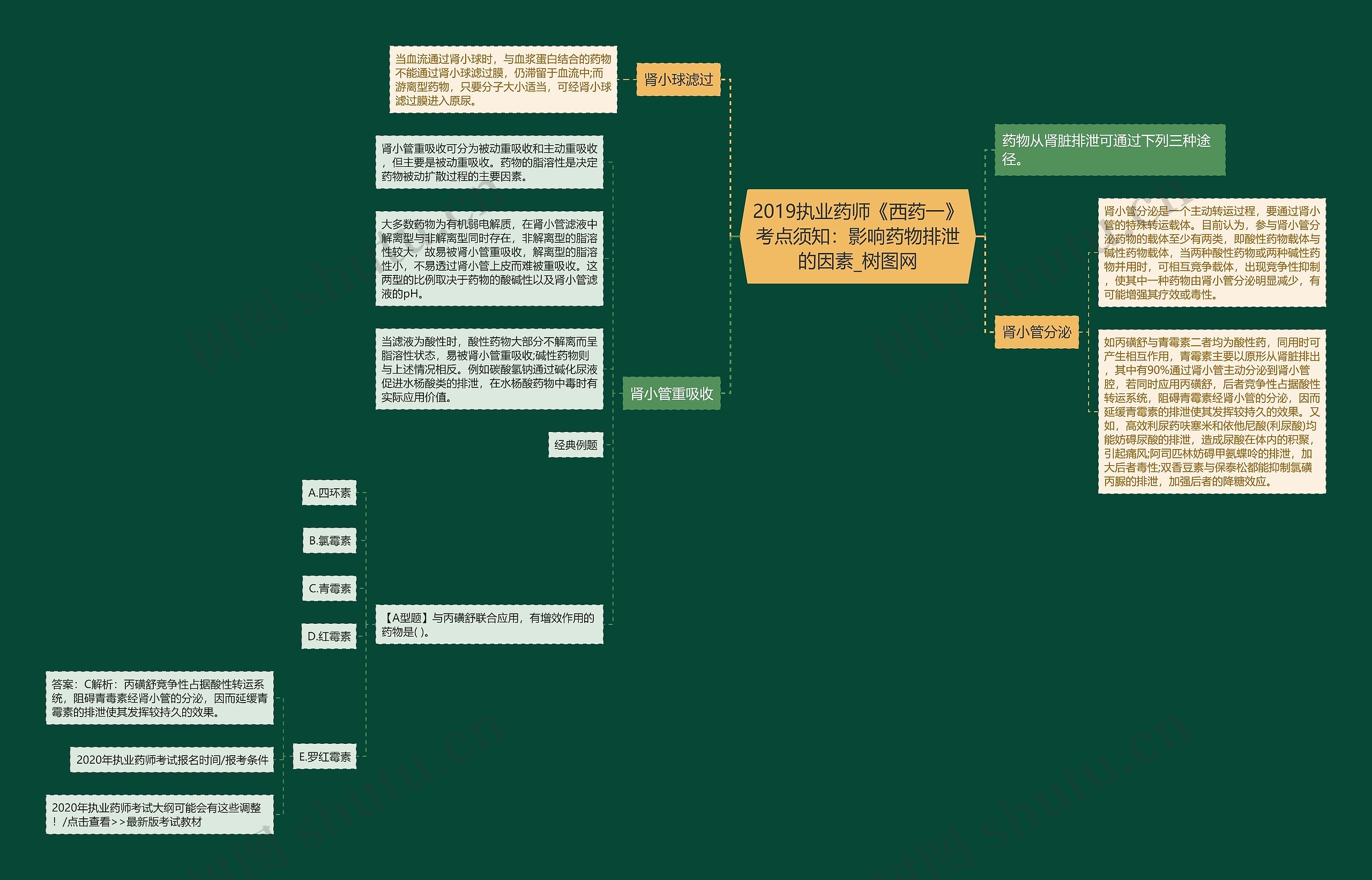 2019执业药师《西药一》考点须知:影响药物排泄的因素 2019执业药师《西药一》考点须知:影响药物排泄的因素