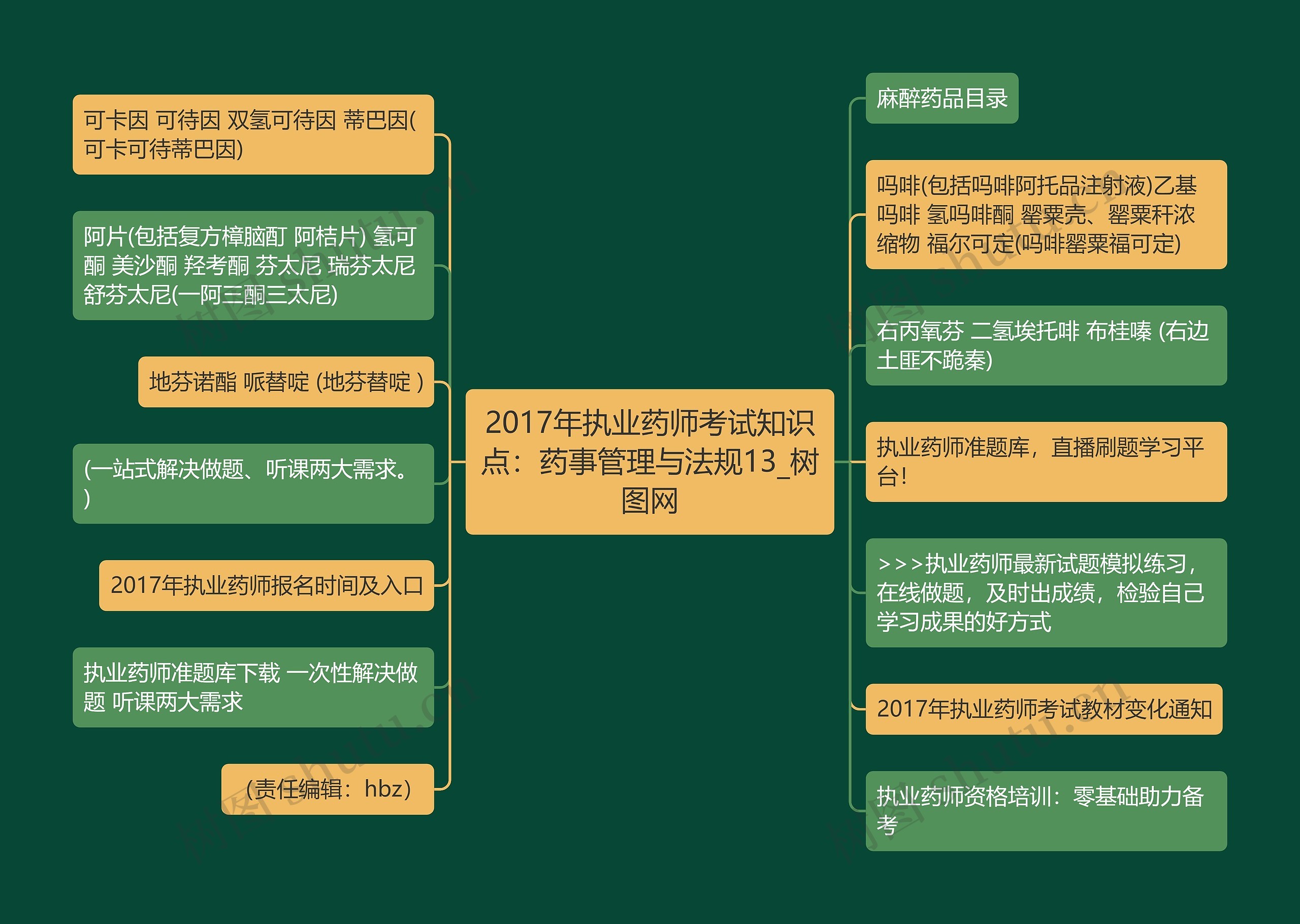 2017年执业药师考试知识点：药事管理与法规13思维导图