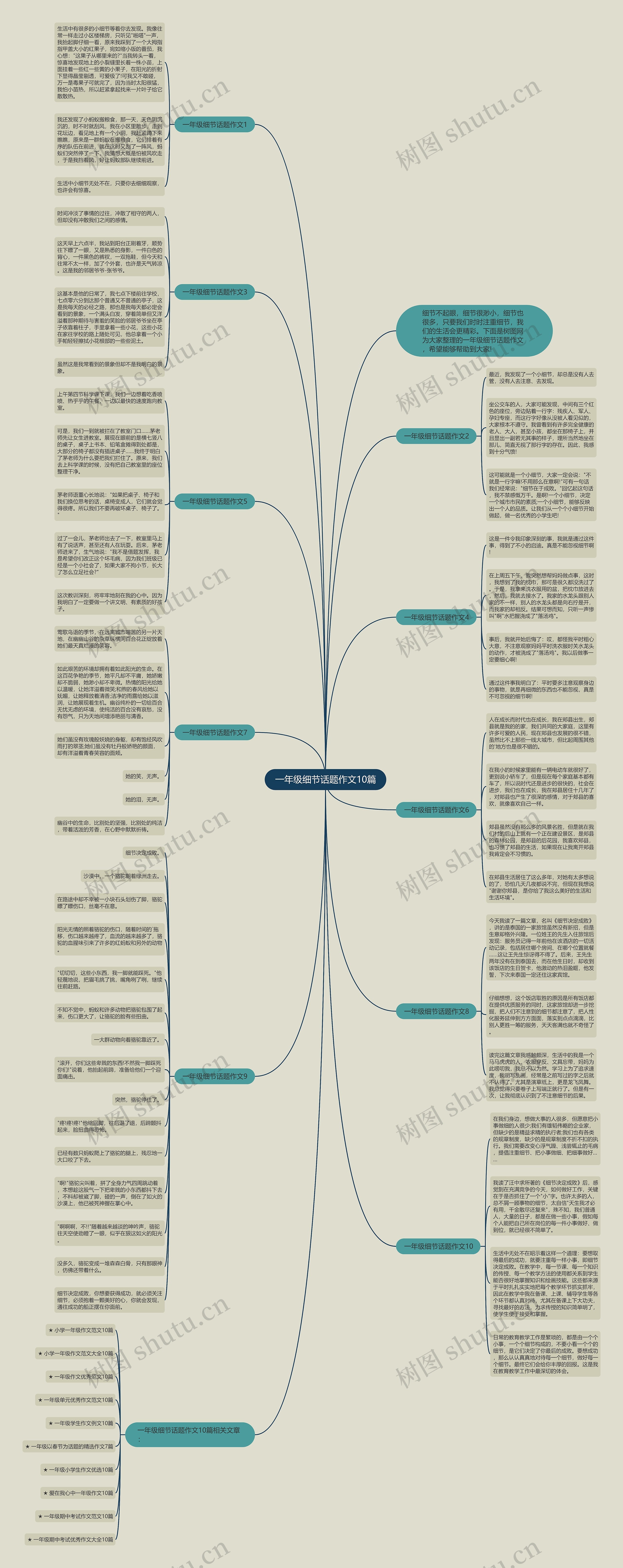 一年级细节话题作文10篇思维导图高清图 一年级细节话题作文10篇思维导图