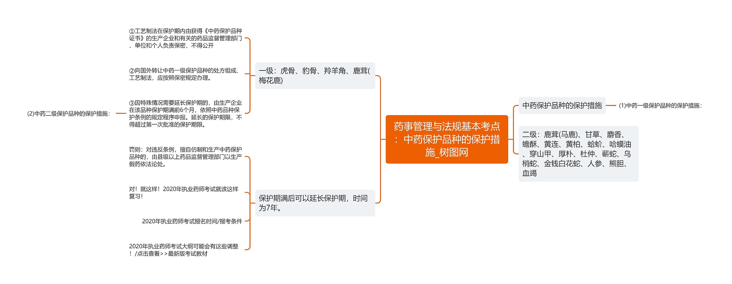 药事管理与法规基本考点：中药保护品种的保护措施