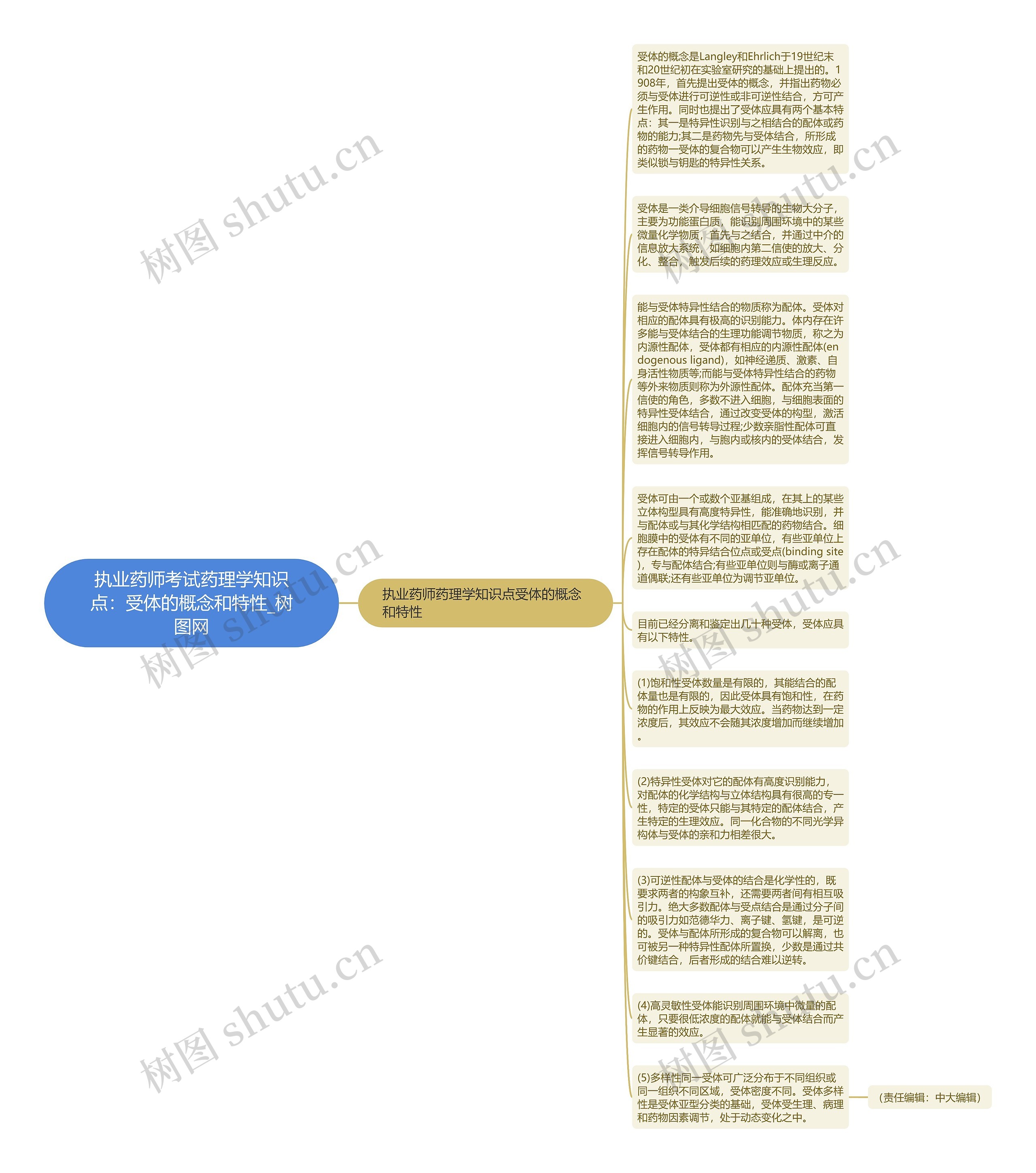 执业药师考试药理学知识点：受体的概念和特性思维导图