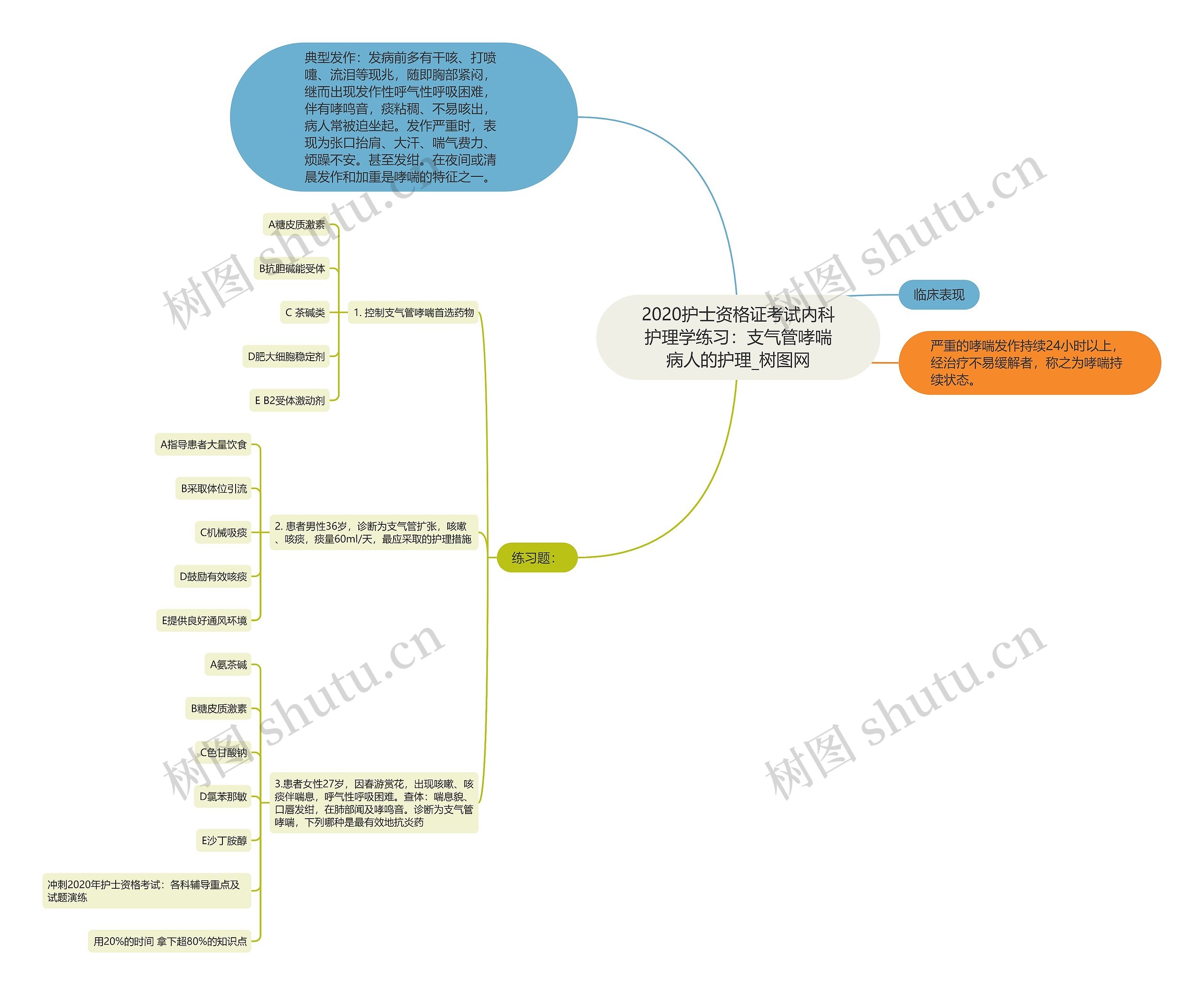 2020护士资格证考试内科护理学练习：支气管哮喘病人的护理思维导图