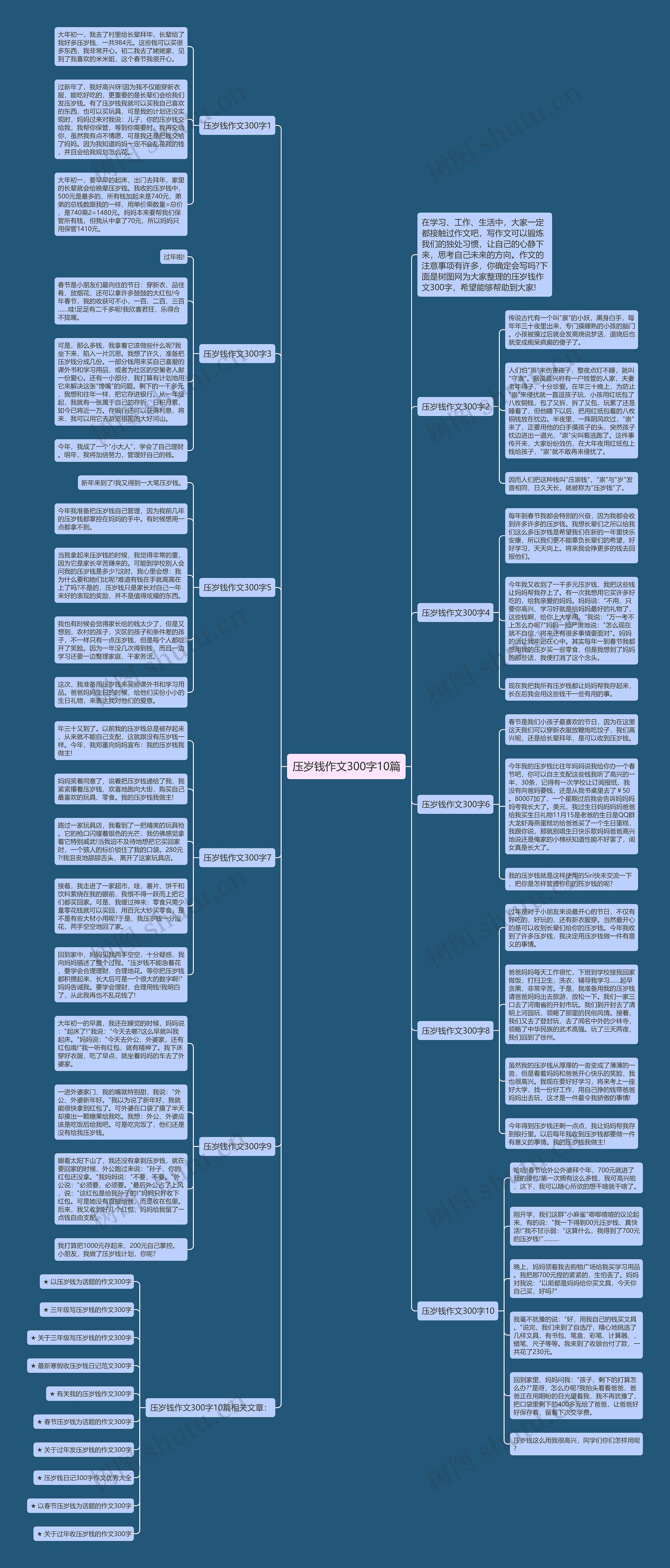 压岁钱作文300字10篇