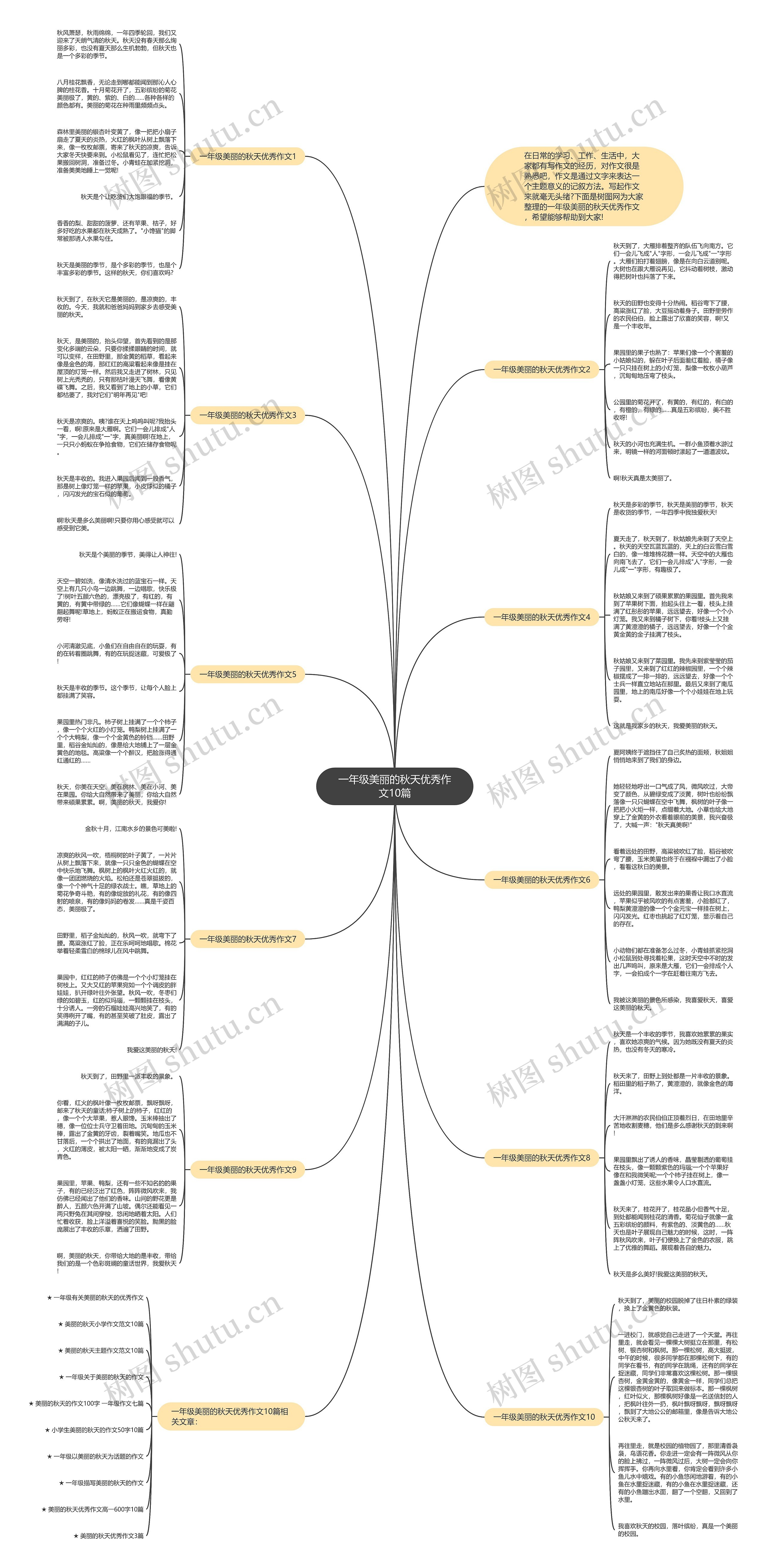 一年级美丽的秋天优秀作文10篇思维导图