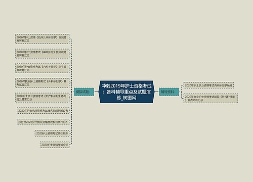 冲刺2019年护士资格考试：各科辅导重点及试题演练