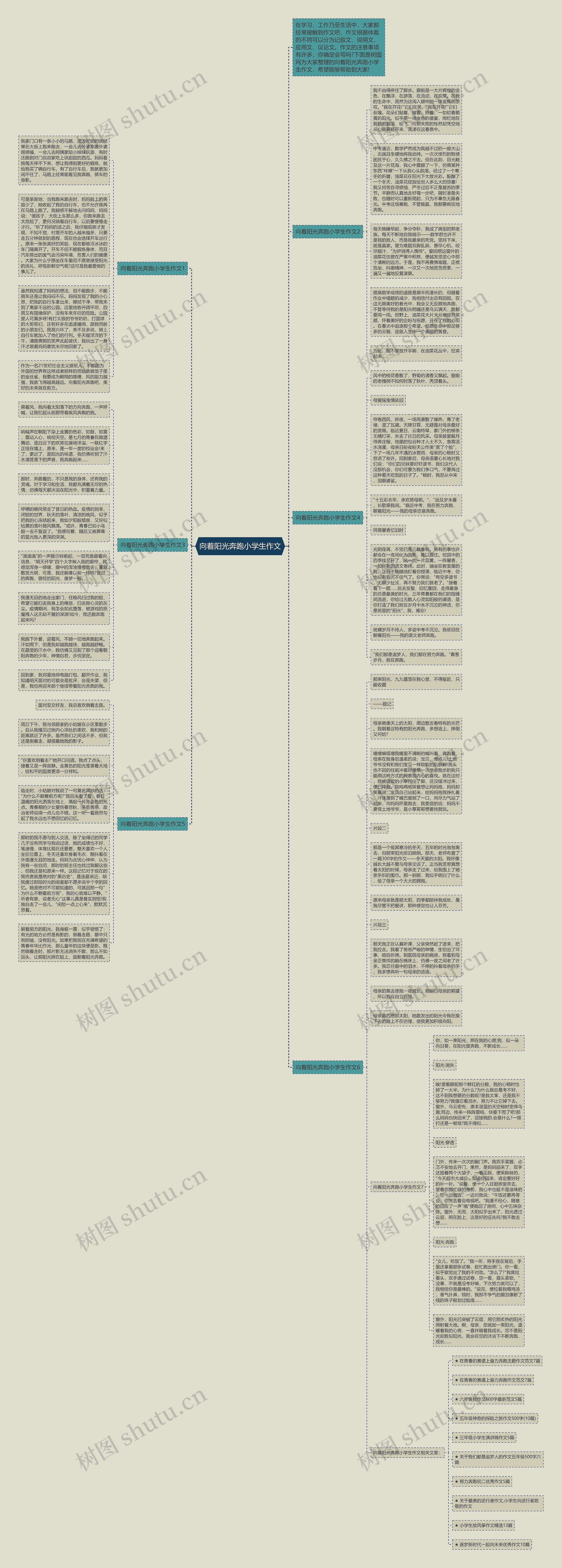 向着阳光奔跑小学生作文思维导图