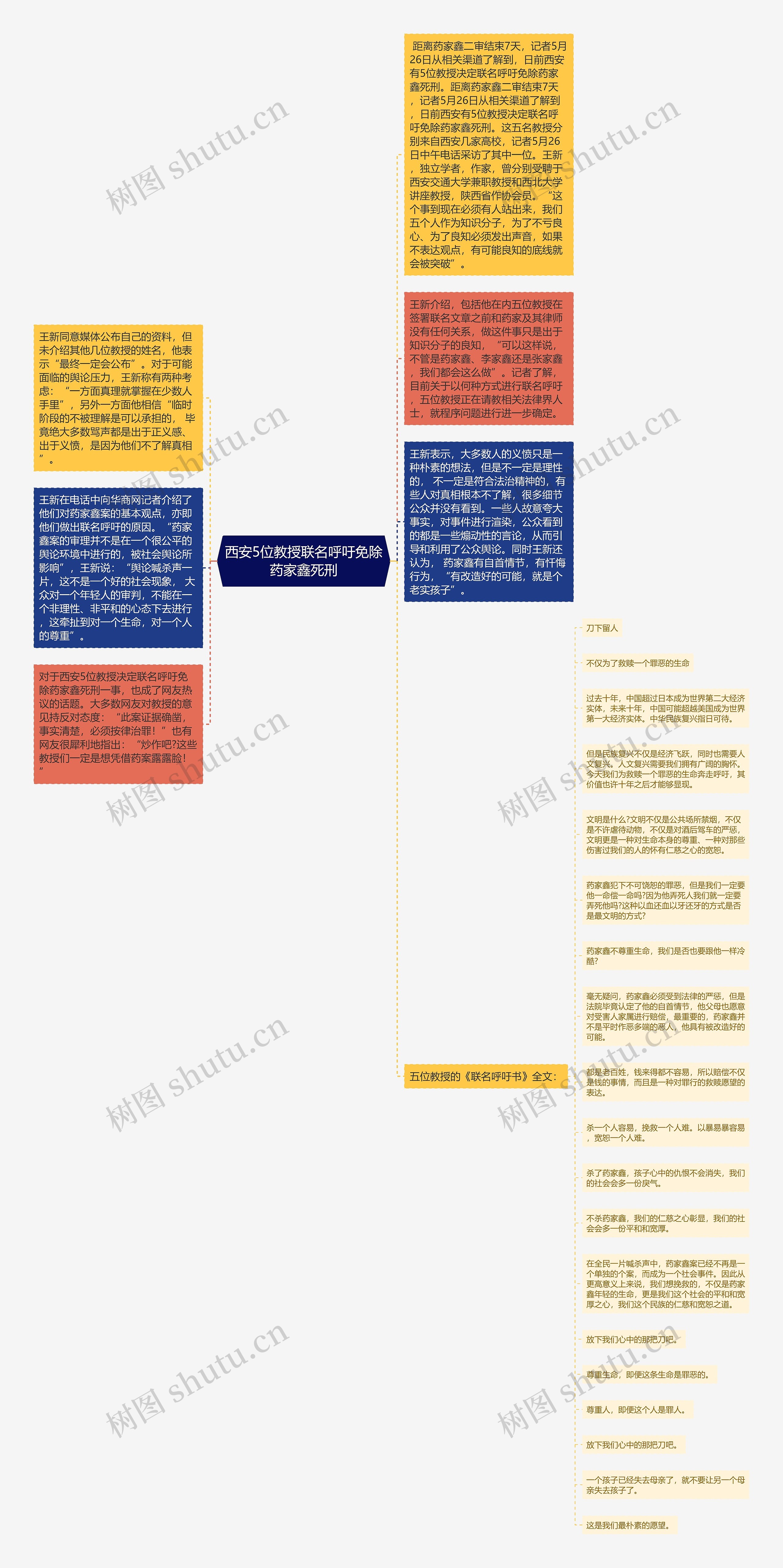 西安5位教授联名呼吁免除药家鑫死刑思维导图