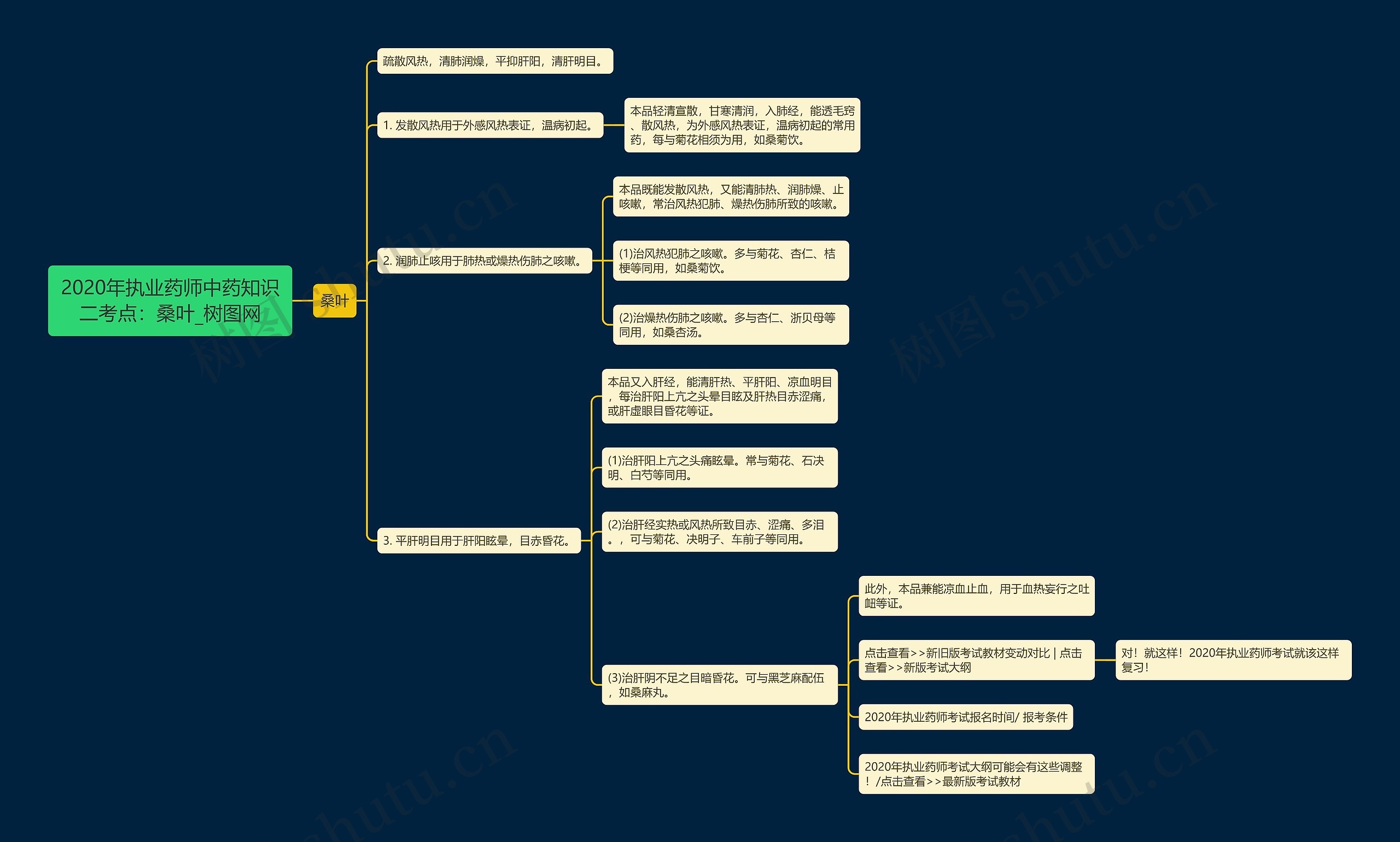 2020年执业药师中药知识二考点:桑叶 2020年执业药师中药知识二考点:桑叶