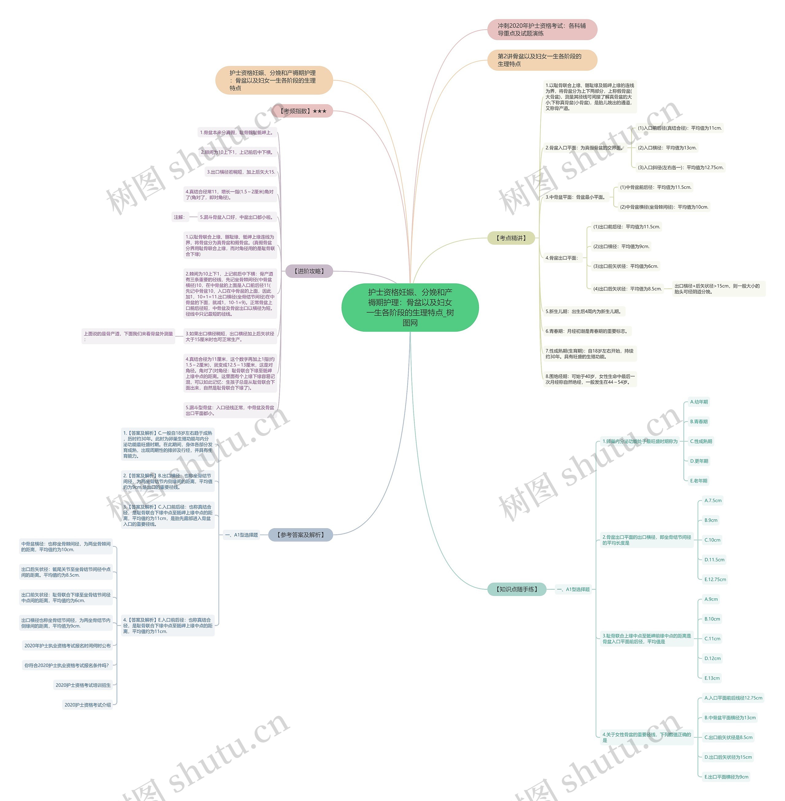 护士资格妊娠、分娩和产褥期护理:骨盆以及妇女一生各阶段的生理特点 护士资格妊娠、分娩和产褥期护理:骨盆以及妇女一生各阶段的生理特点