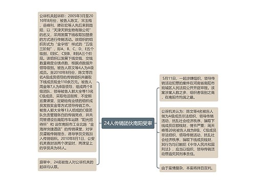 24人传销团伙南阳受审