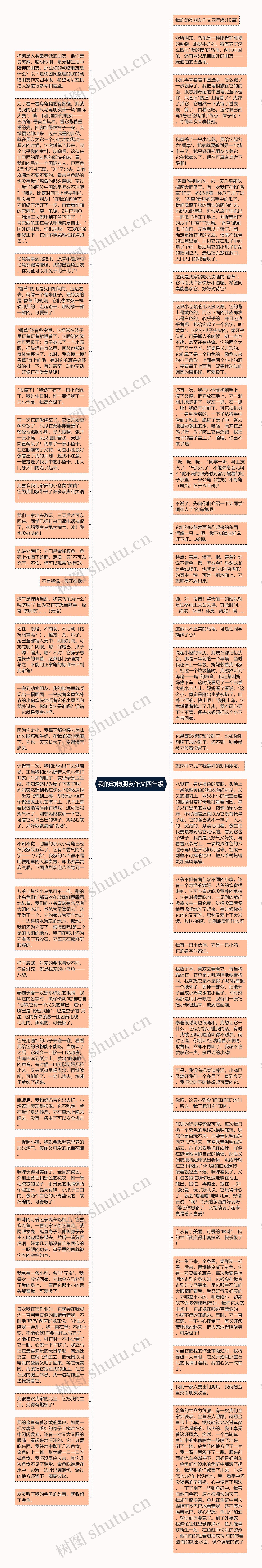 我的动物朋友作文四年级