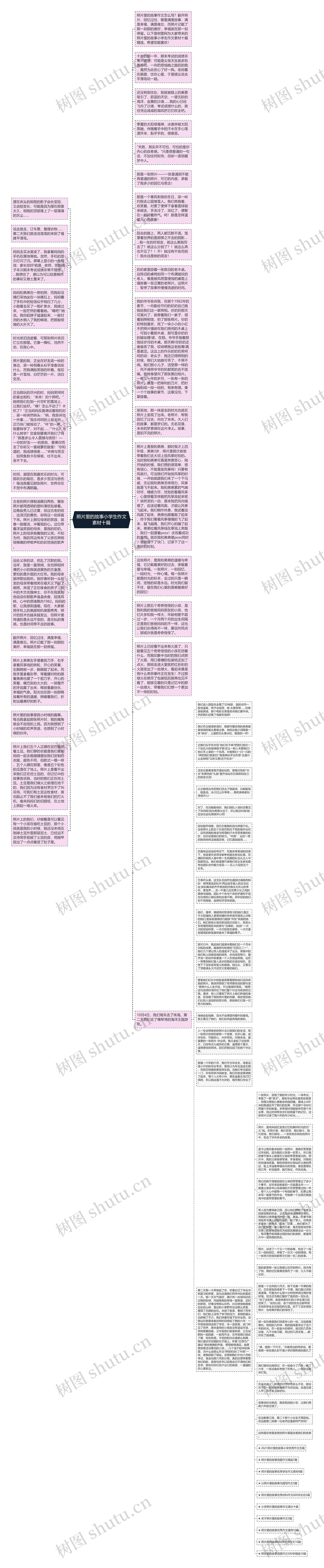 照片里的故事小学生作文素材十篇思维导图