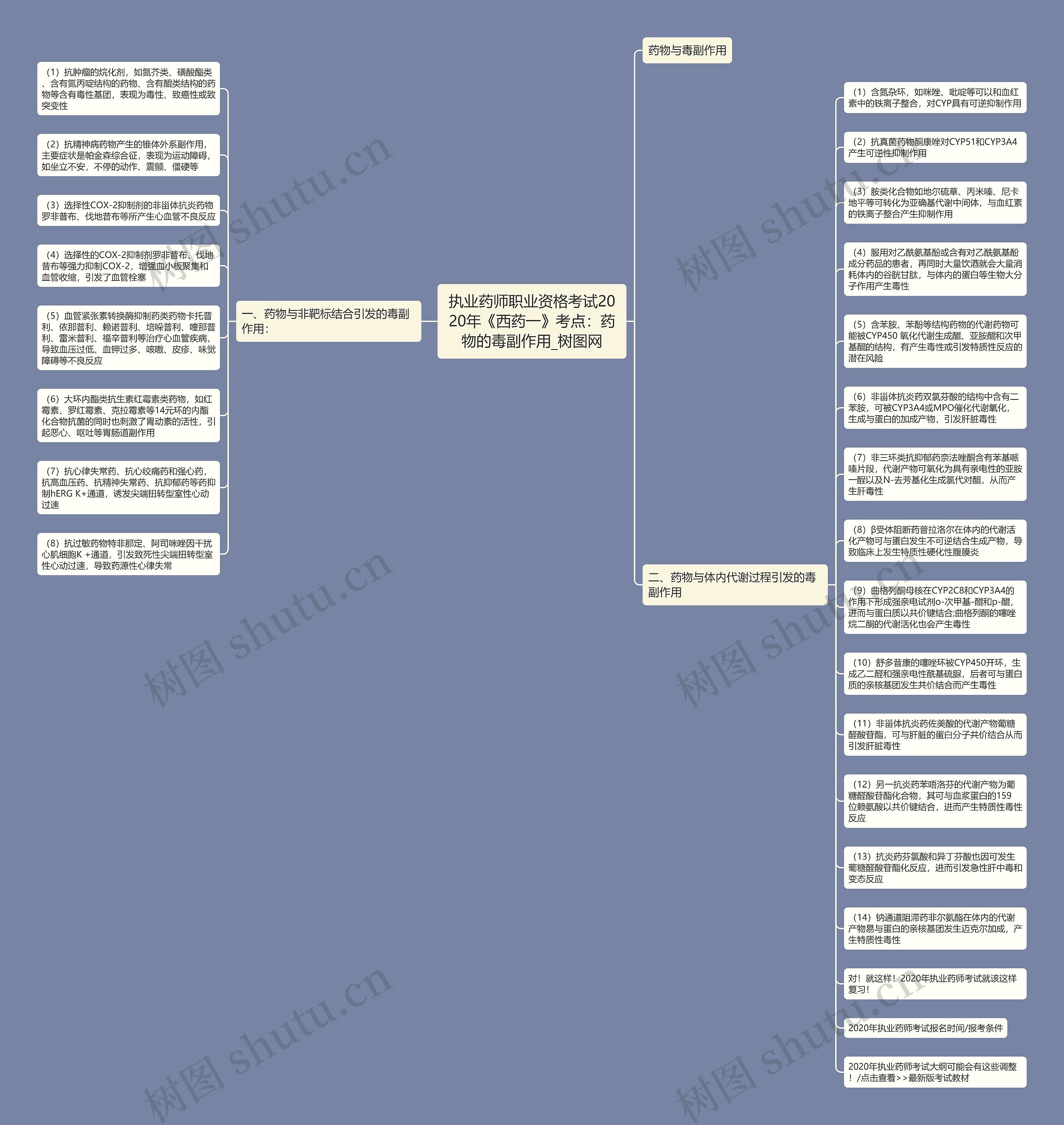 执业药师职业资格考试2020年《西药一》考点：药物的毒副作用思维导图