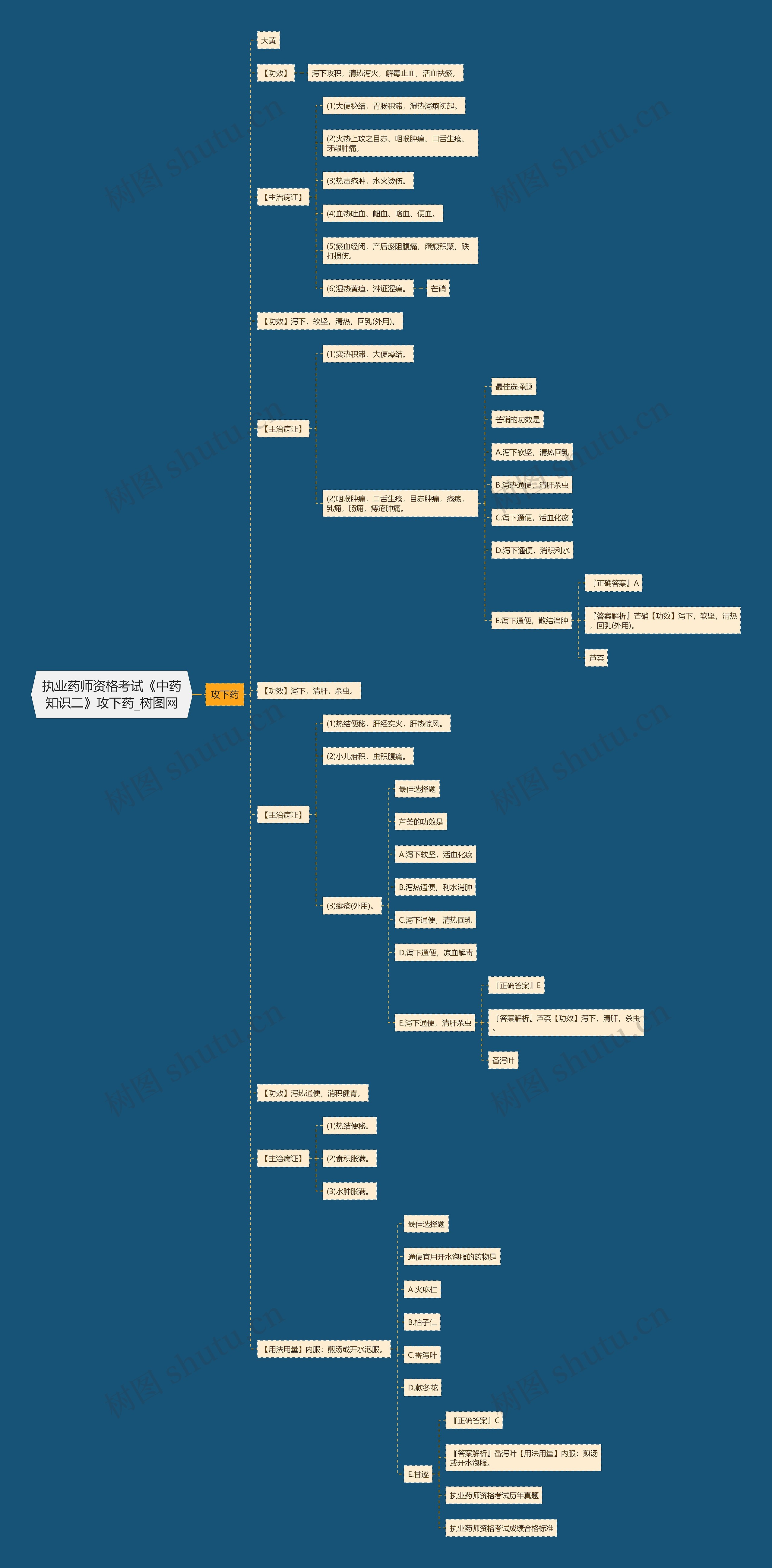 执业药师资格考试《中药知识二》攻下药思维导图