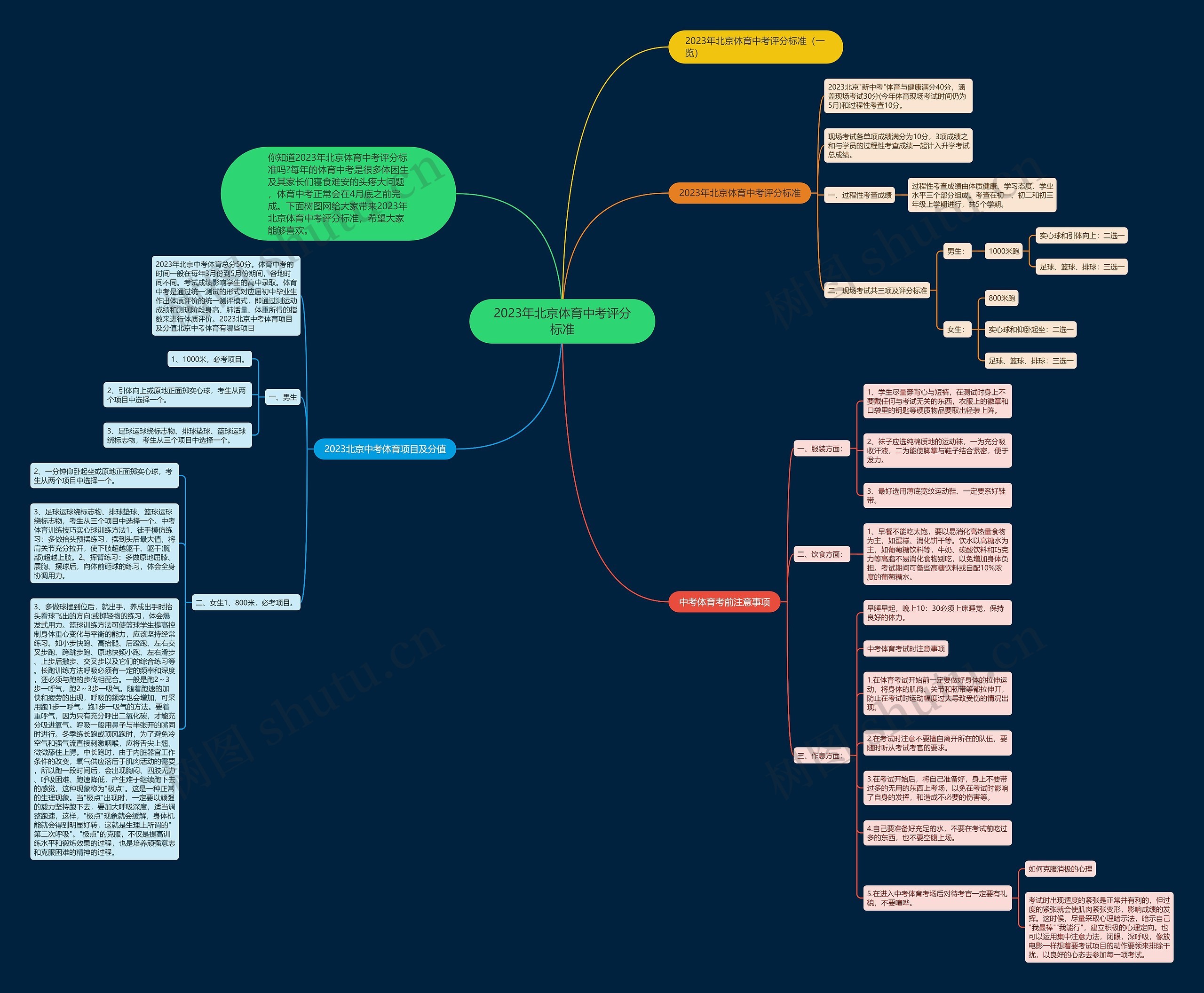 2023年北京体育中考评分标准 2023年北京体育中考评分标准