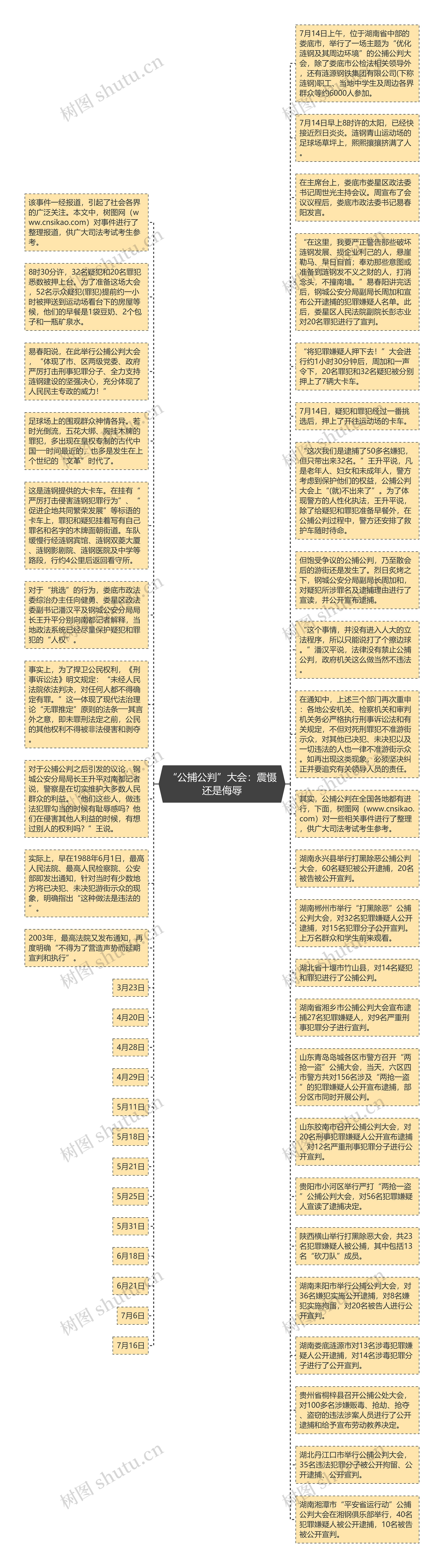 “公捕公判”大会：震慑还是侮辱思维导图